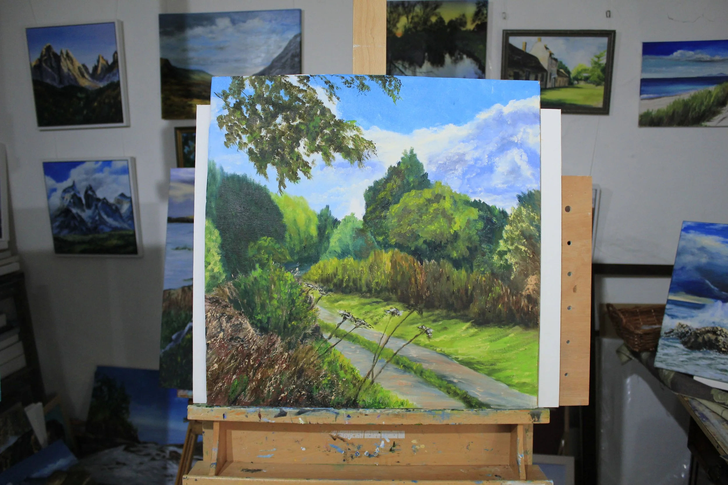 Farm Track, Swanbourne.JPG