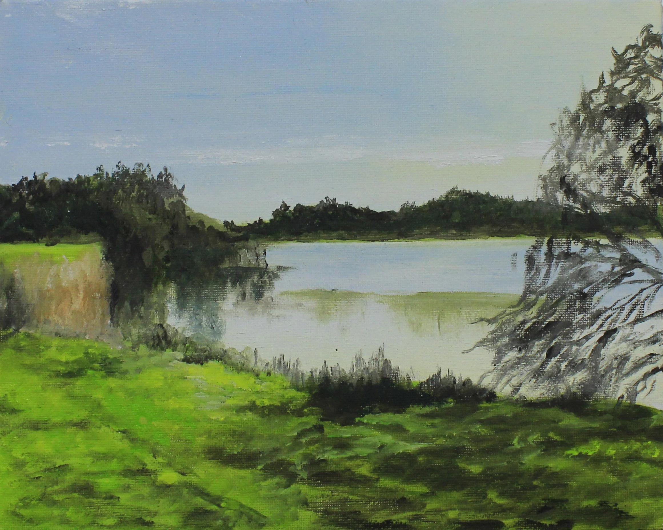 Linford Lakes, Buckinghamshire.JPG