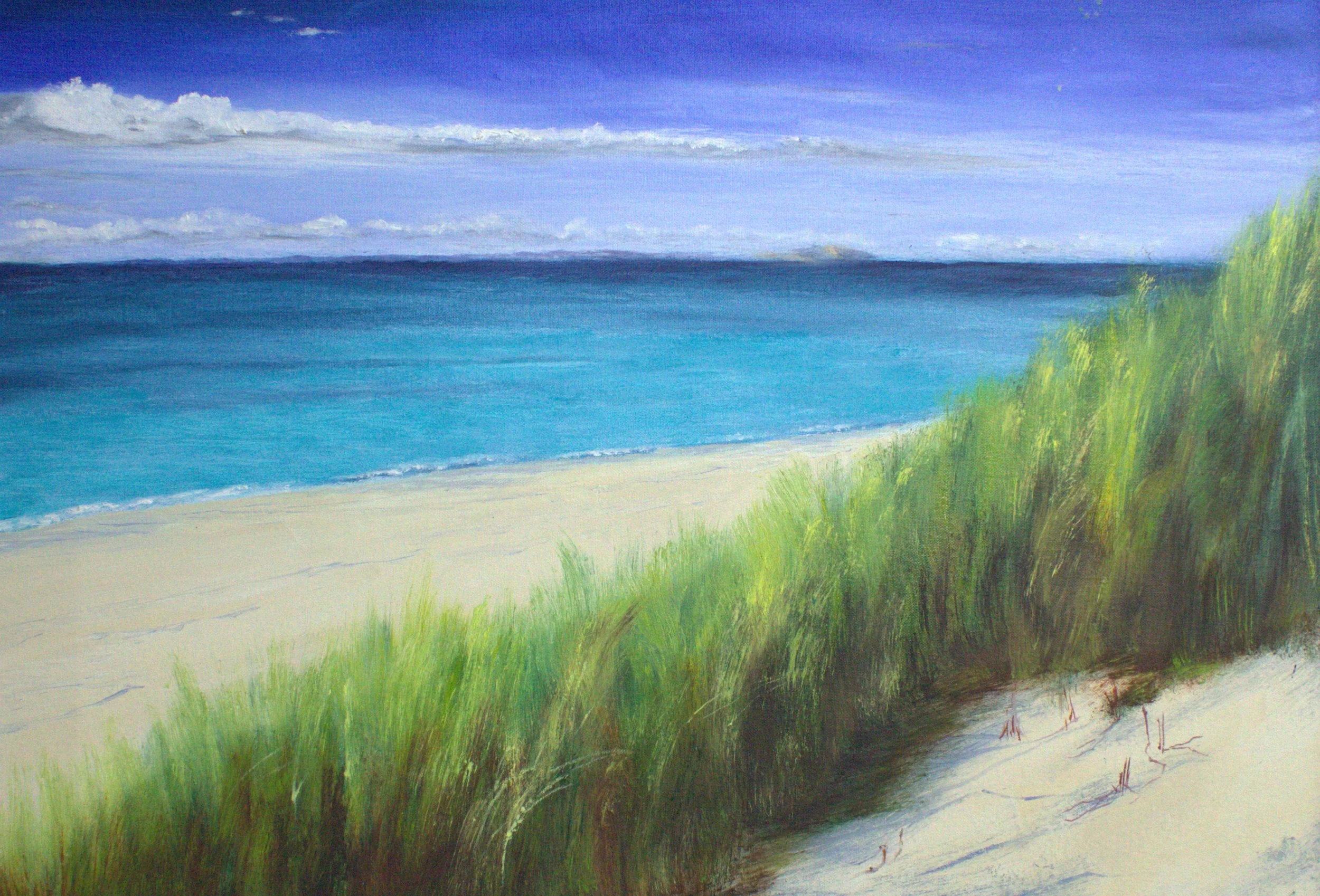 Dune Grasses.jpg
