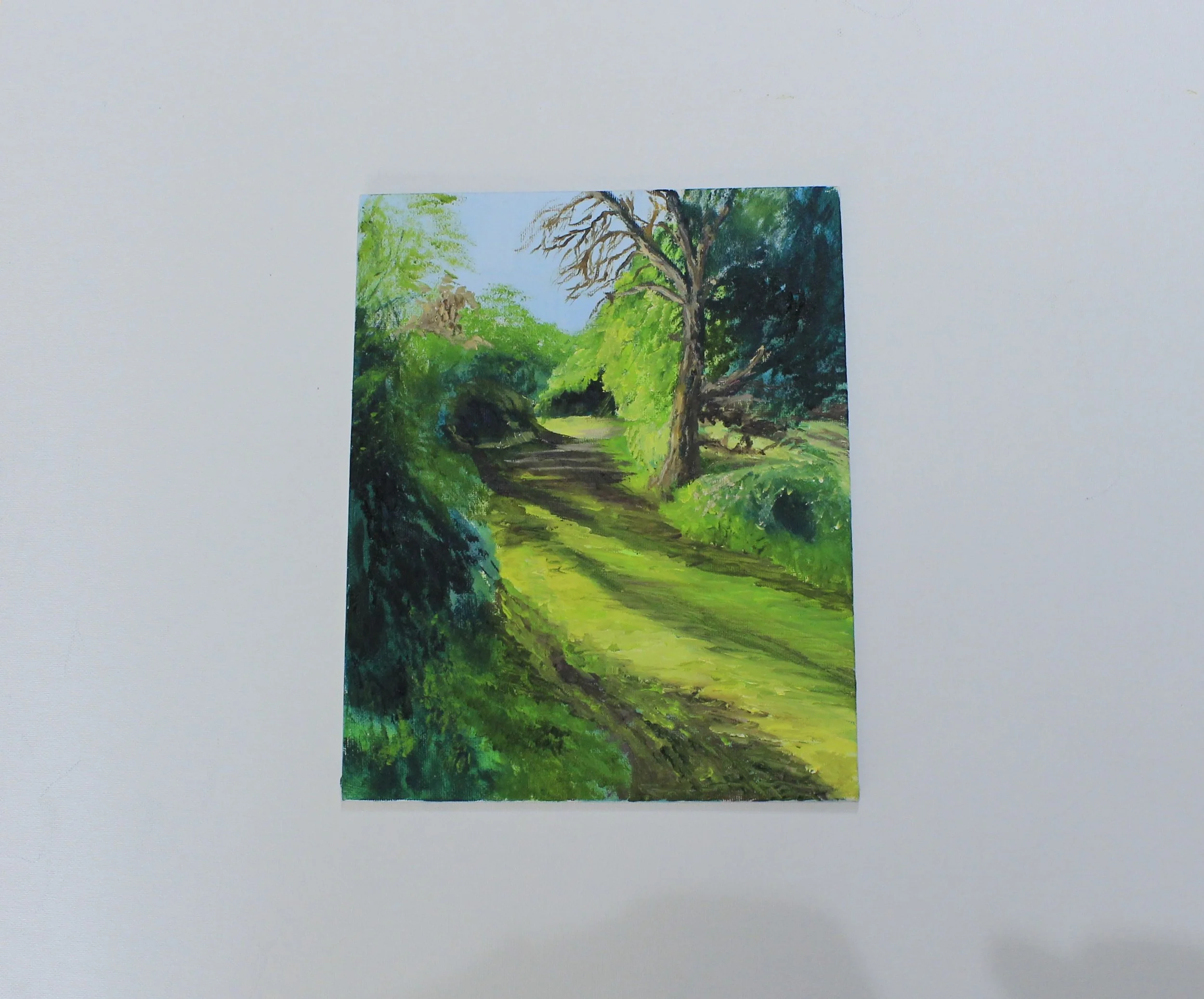Woodland Walk - Lindford Lakes II.JPG