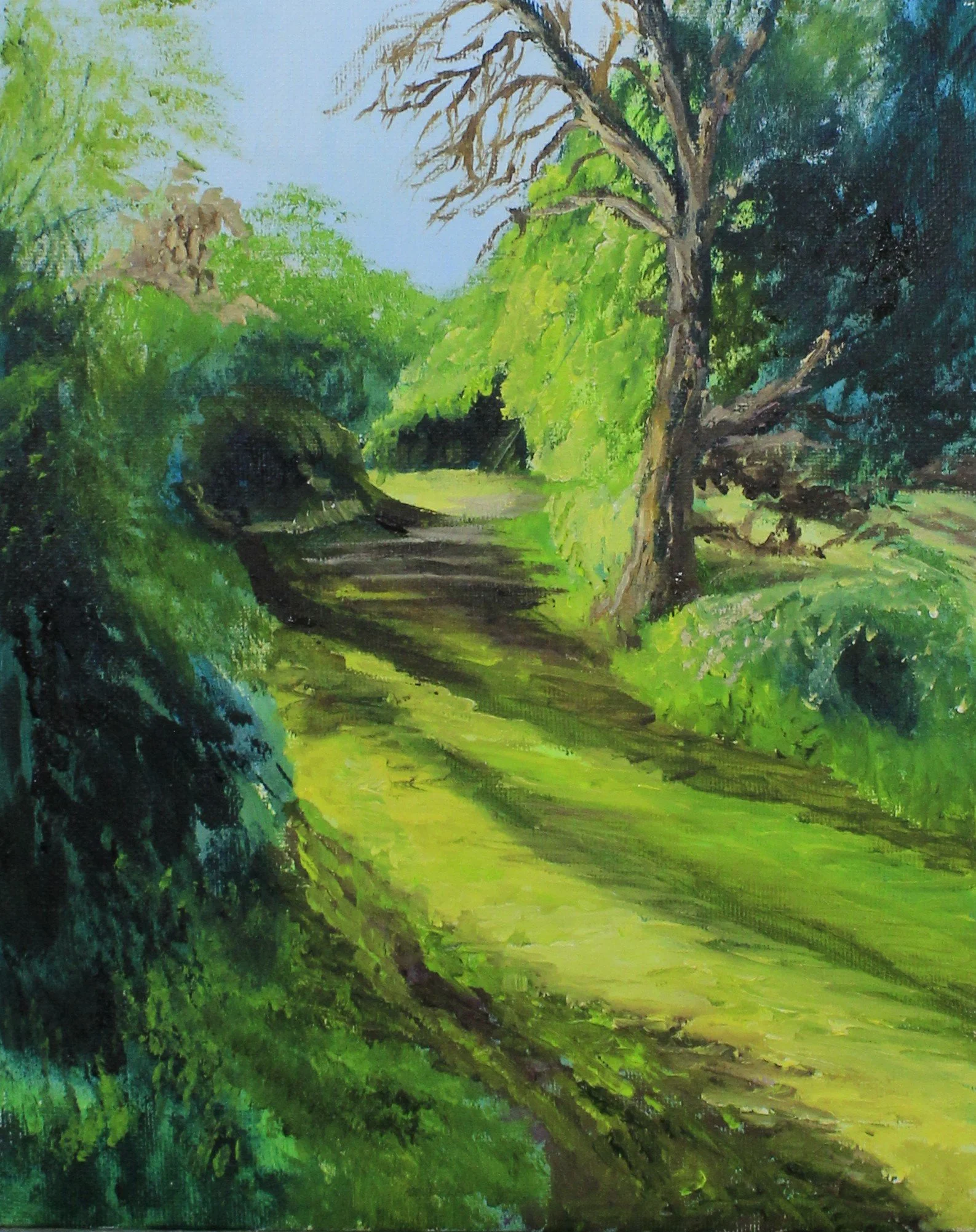 Woodland Walk