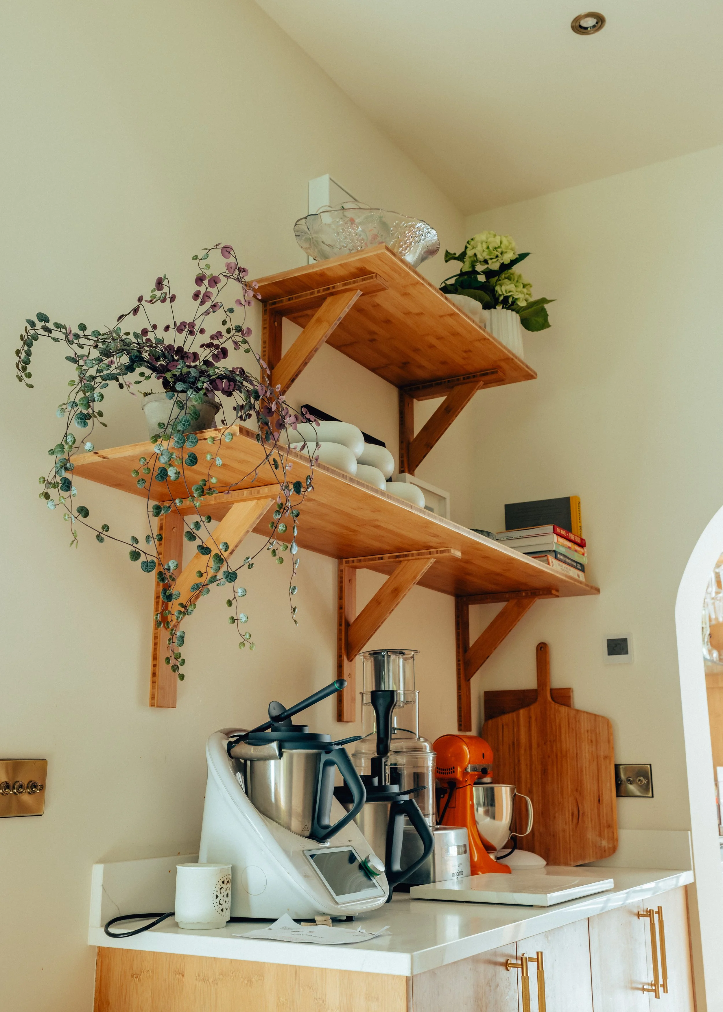 bamboo shelves in a prep kitchen displaying kitchen appliances and plants, by josh hill furniture