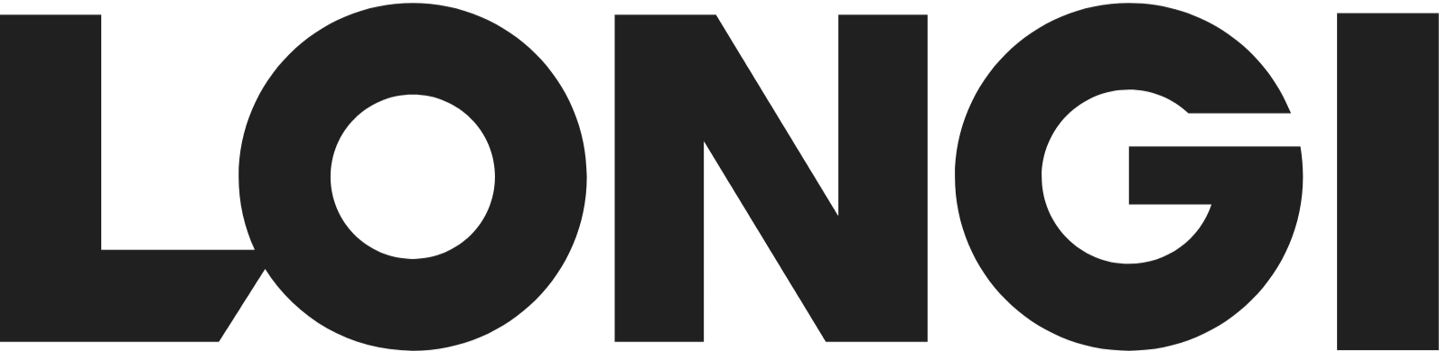 Longi Solar Modulen
