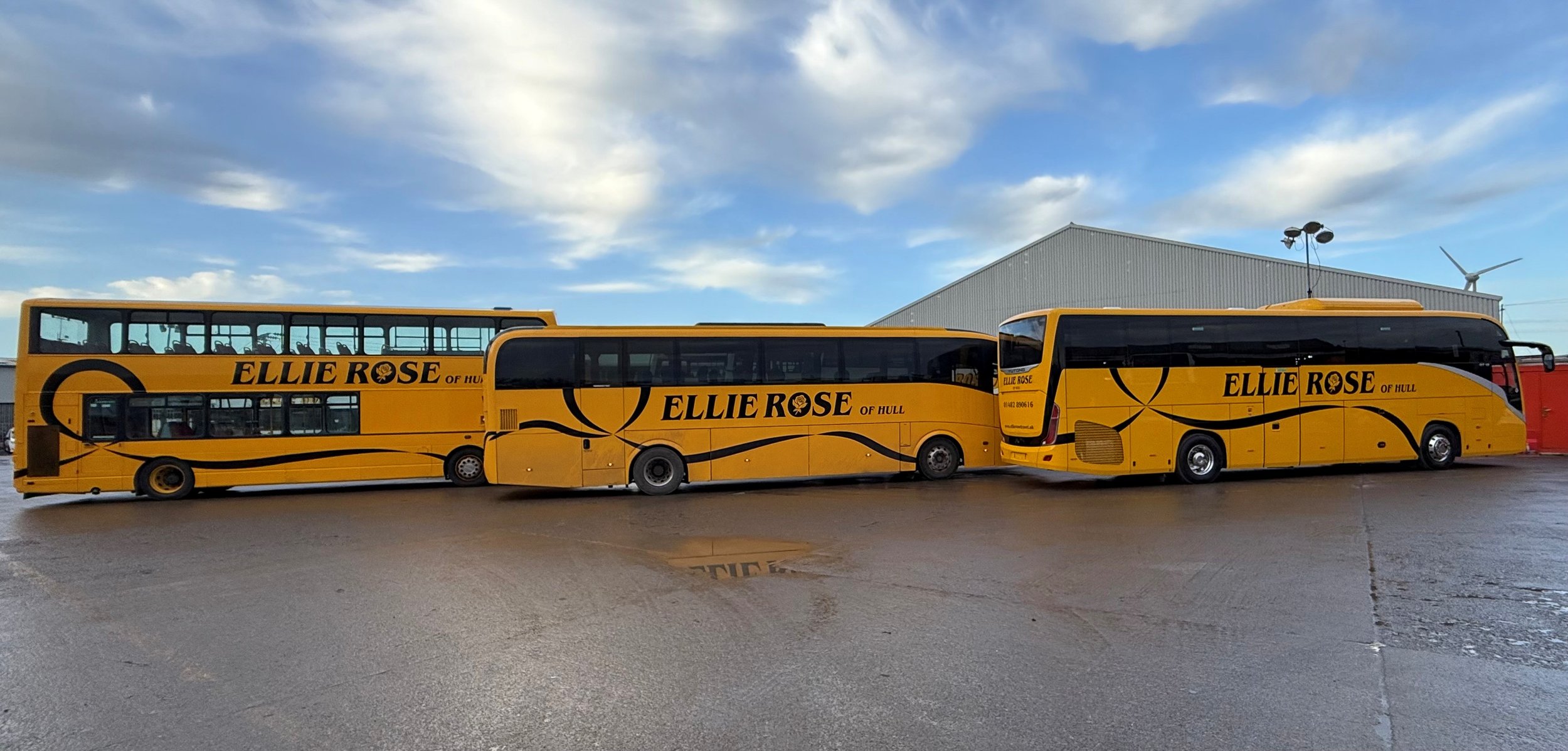 Three yellow double-decker buses with 'Ellie Rose of Hull' written on the side, parked on wet pavement against a warehouse and cloudy sky.