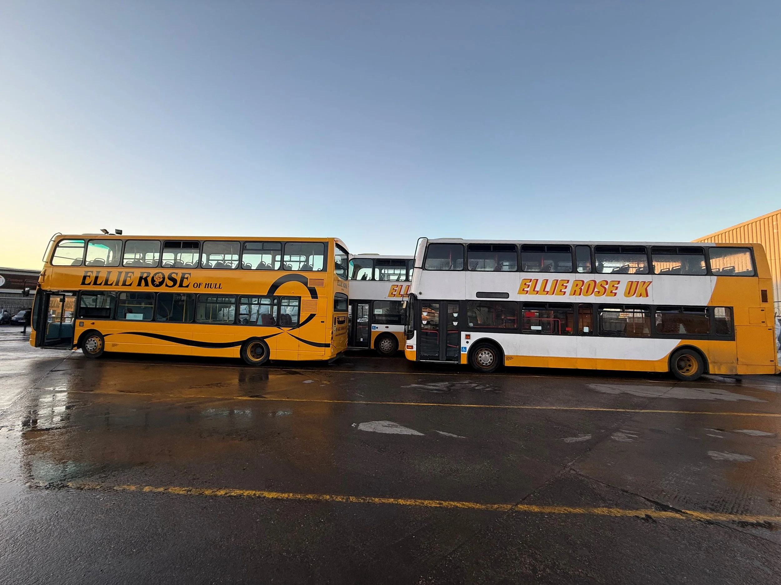 Two double-decker buses parked side by side, both with 'Ellie Rose' branding, one yellow and the other white with yellow accents, on a wet parking lot during sunset.