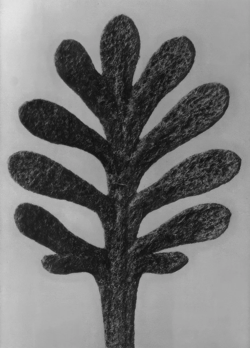 Strategische Beratung & Interim Management