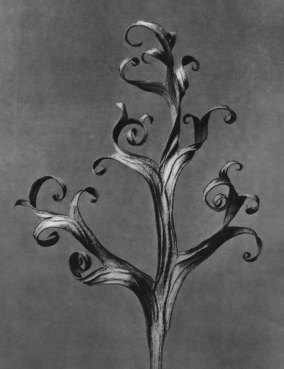 Persönlichkeitsdiagnostik – Deep Dive Persönlichkeit