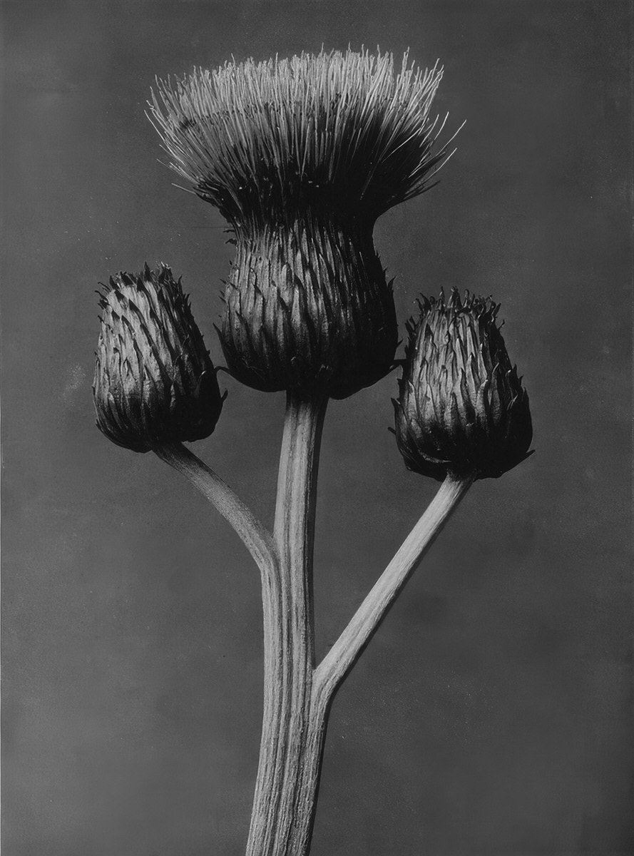 Verhandlungsführung für Frauen