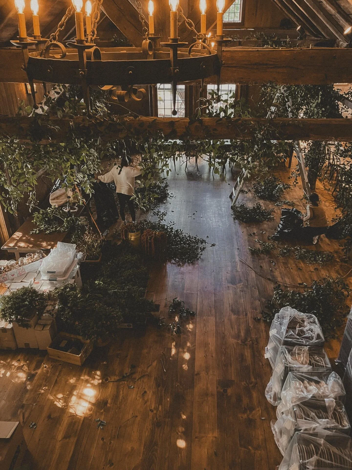 ✨ Fall freelance with Sarah Worden Natural Design