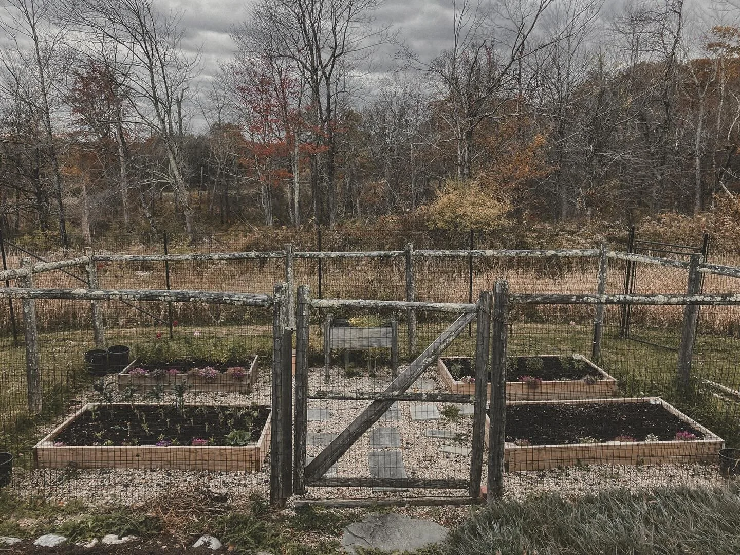 ✨ A veggie garden ready for rest&hellip;