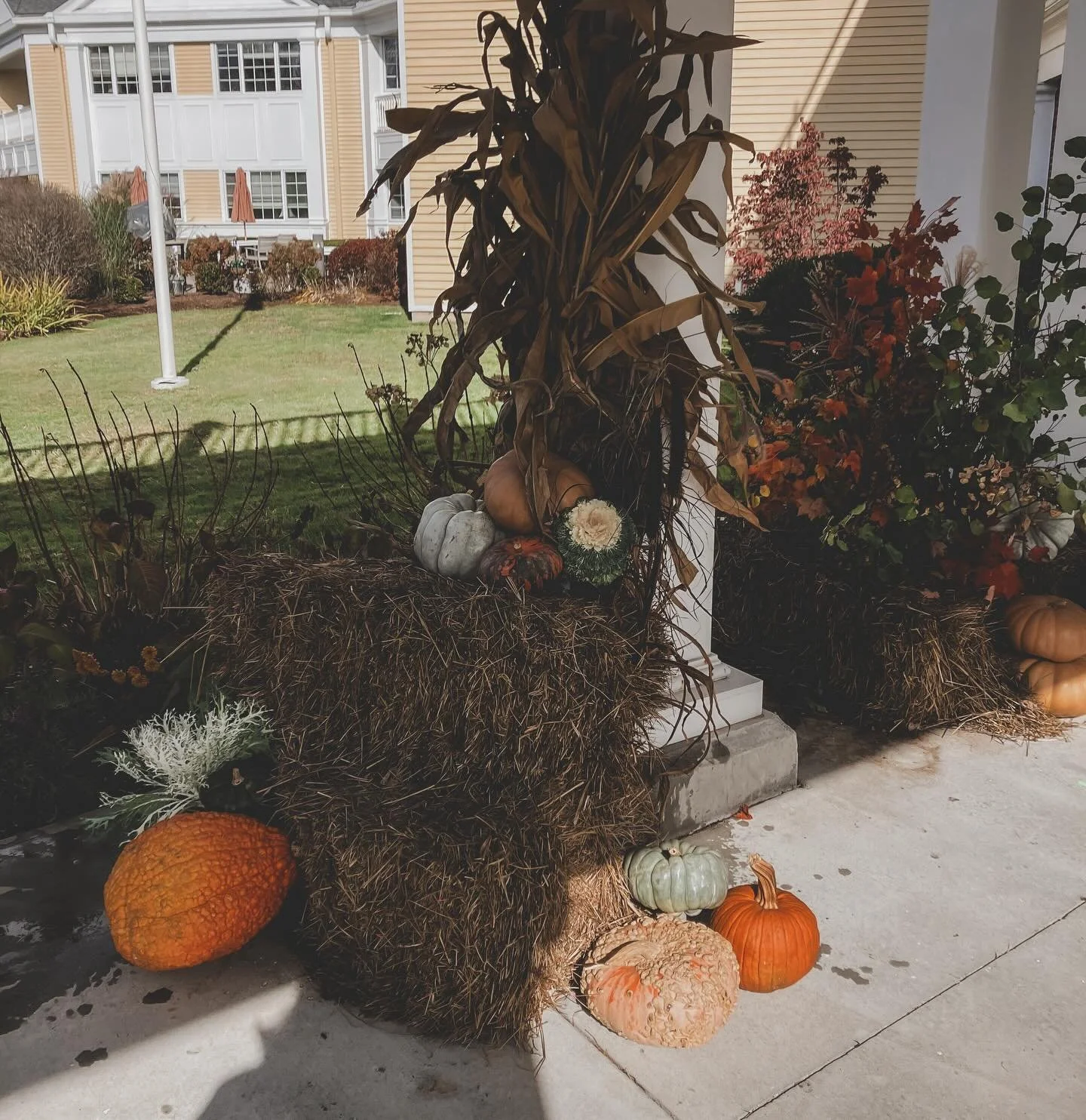 ✨ A fall display for Brandywine, winter display coming soon&hellip;