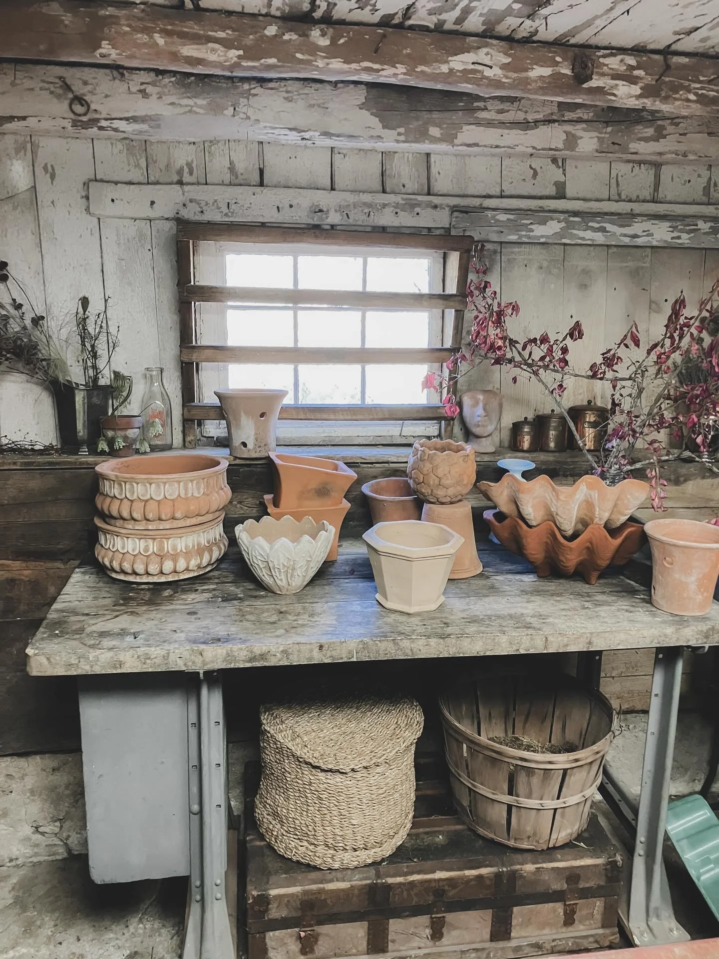 ✨The last of the fall field &amp; barn days&hellip;pottery sourcing for holiday events and a successful day-before-Thanksgiving dahlia dig&hellip;