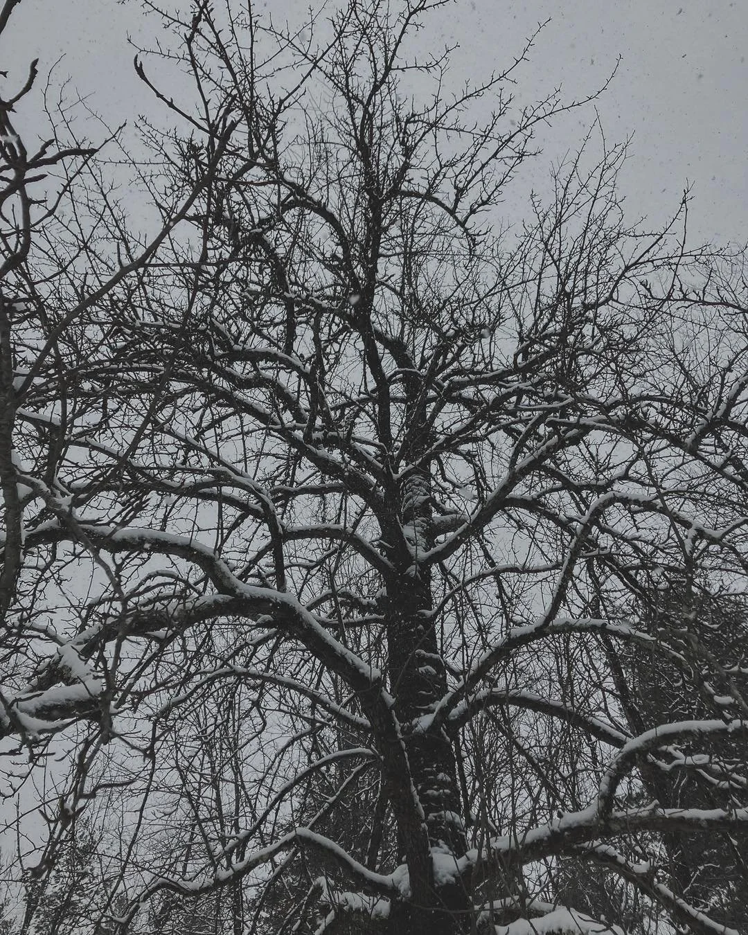 Everything reduced to line