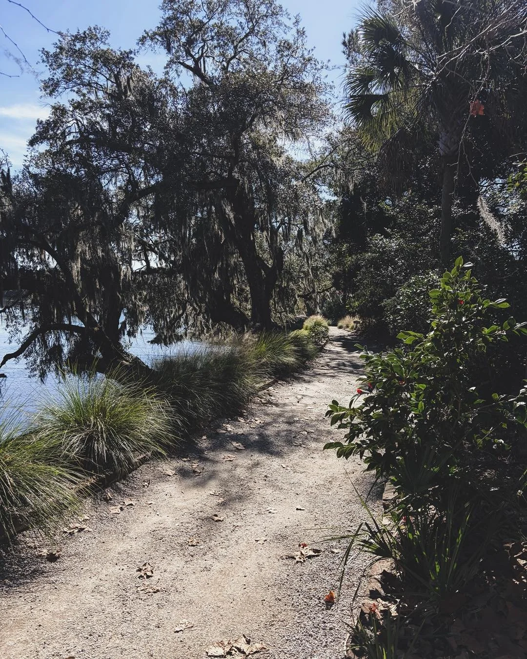 Magnolia Plantation, February 2026 

Charleston, SC