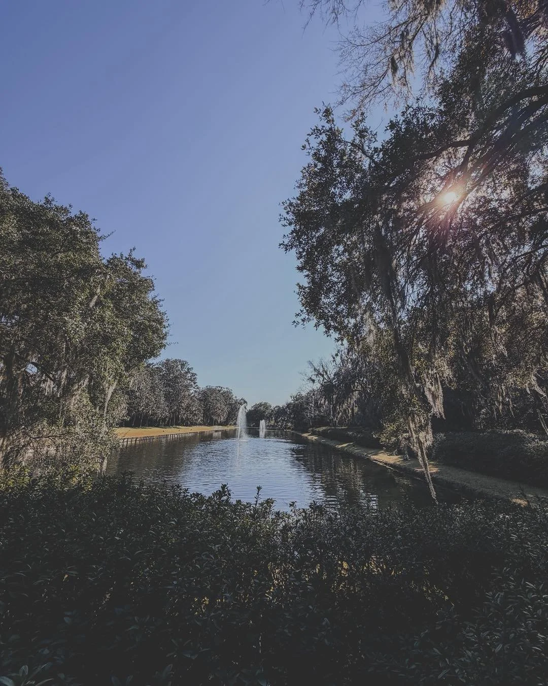 Part One- Middleton Place, Charleston SC. The oldest landscaped gardens in the United States, established 1741