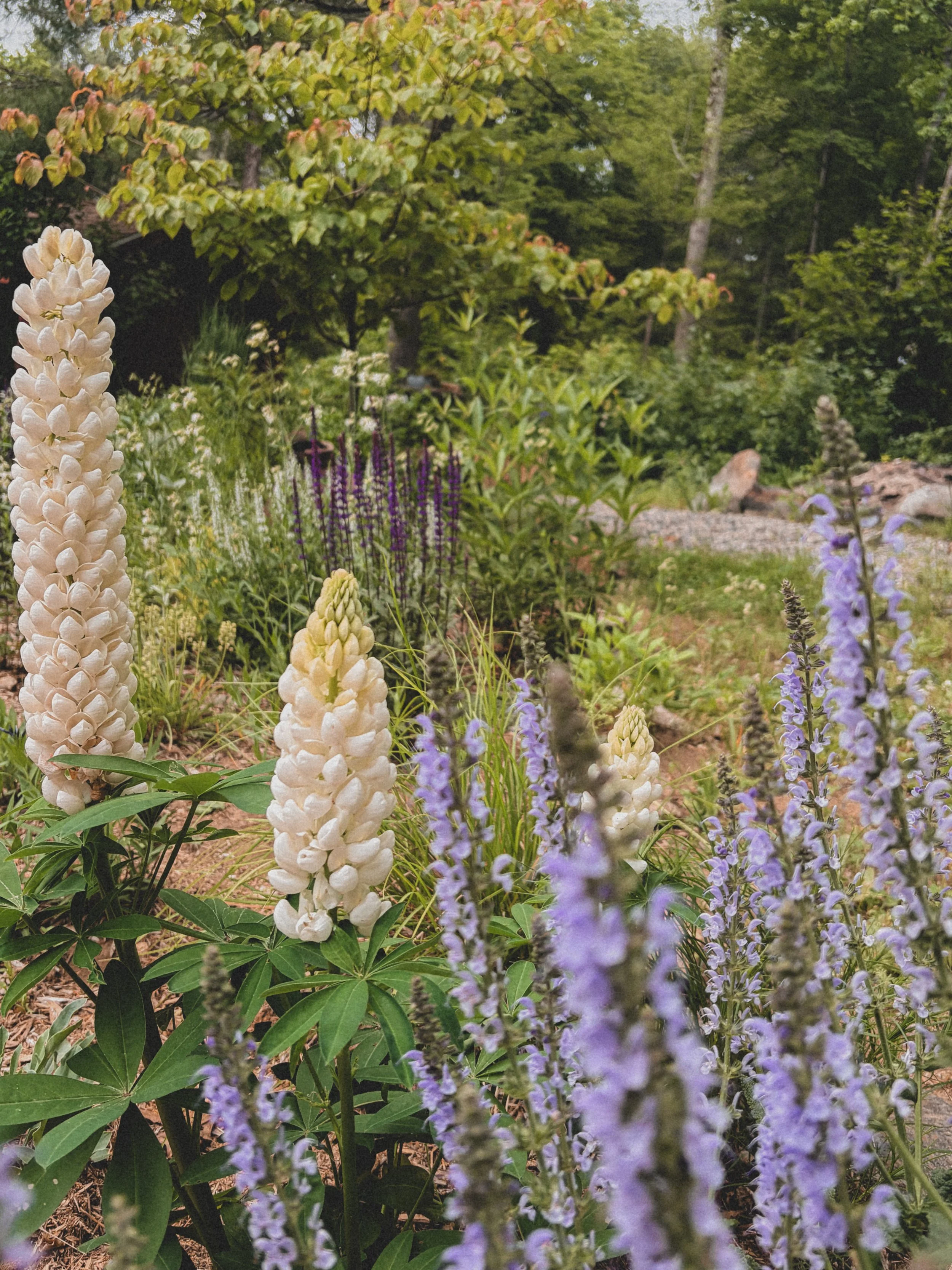 What does the garden require at its fullest?