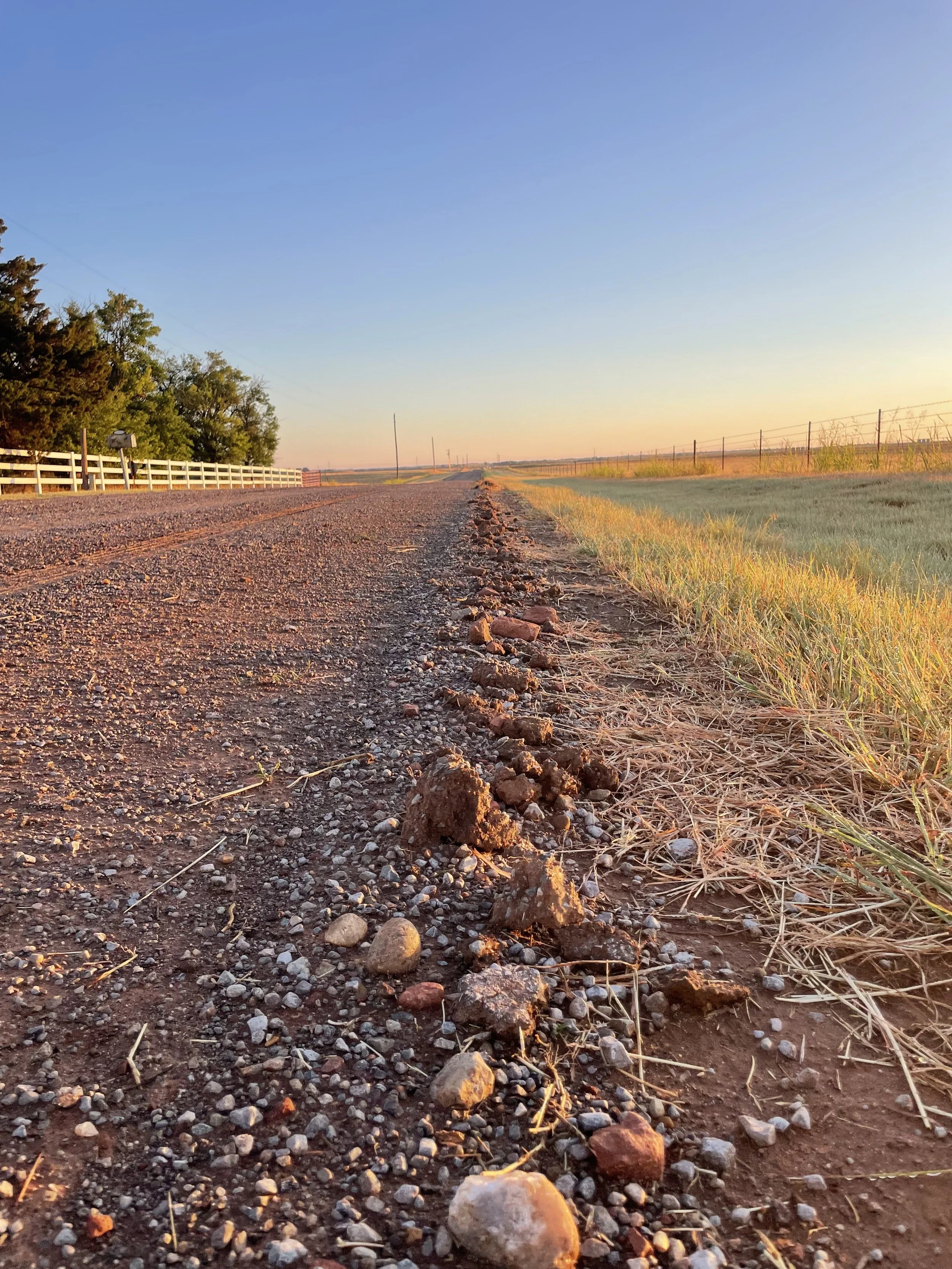 Life is a Journey of Highs and Lows