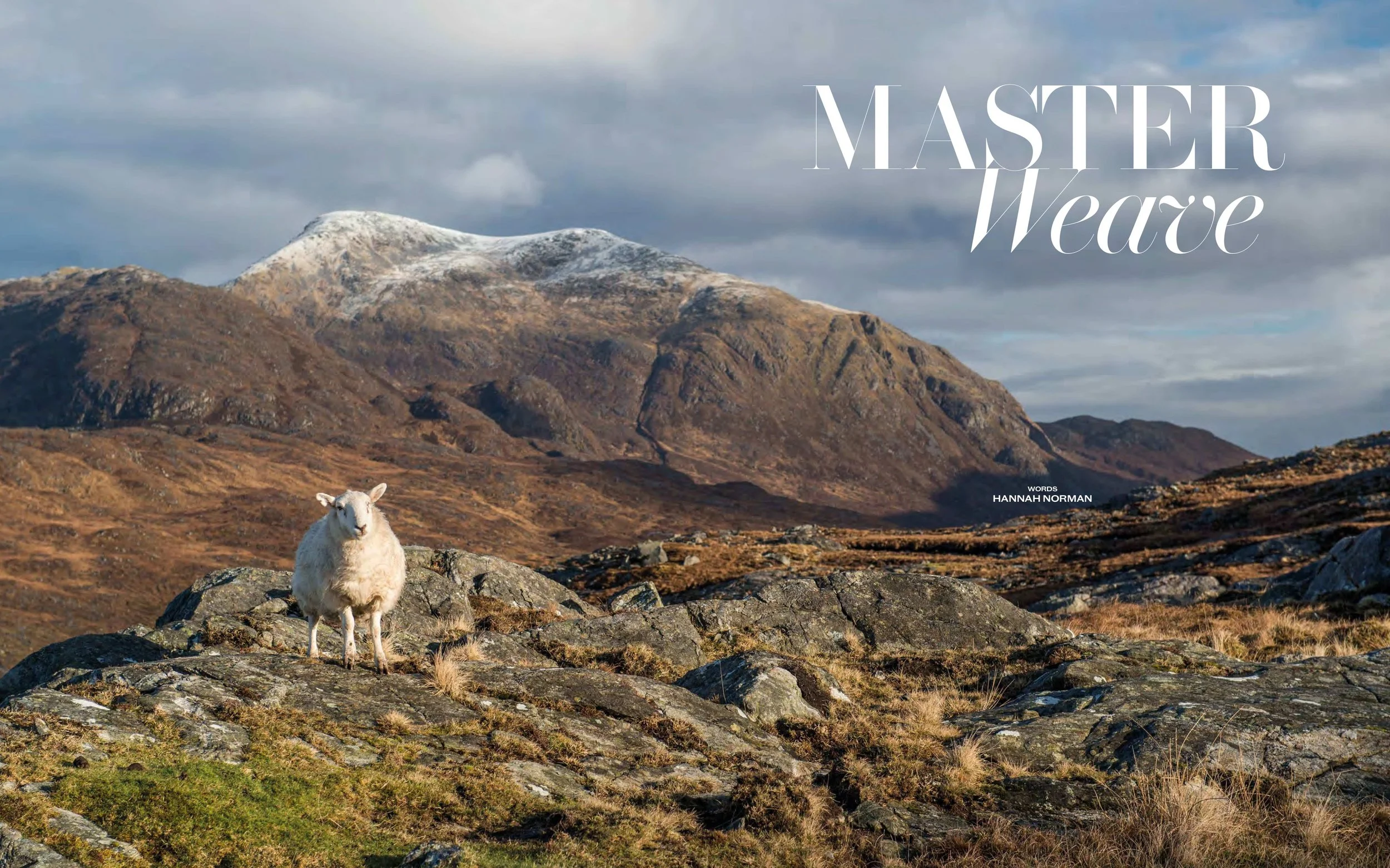 The Stafford Collection - Full Magazine - Master Weave.jpg