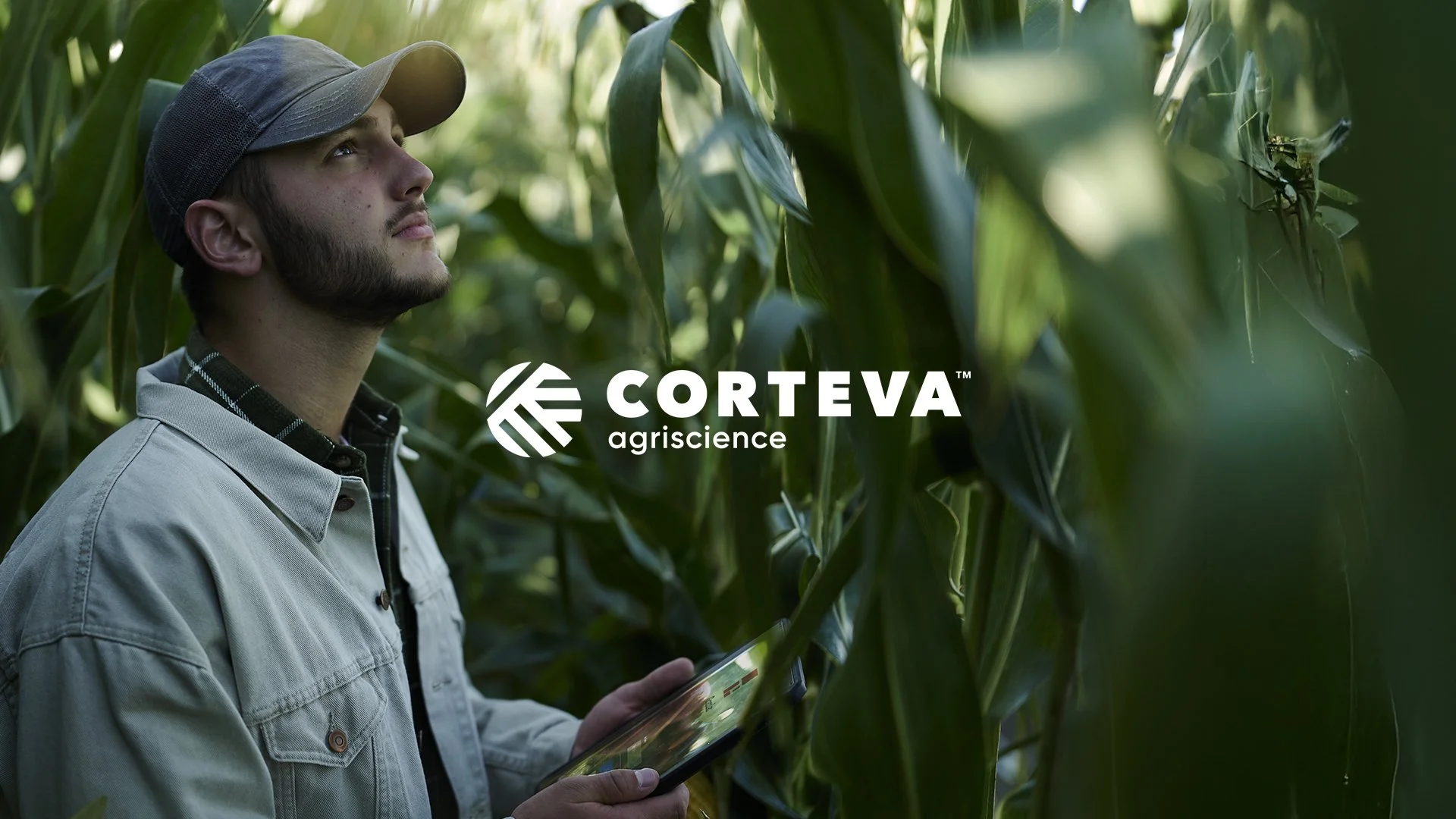 A man with a beard and a gray cap standing in a lush green cornfield, holding a tablet device, with the Corteva Agriscience logo overlayed.