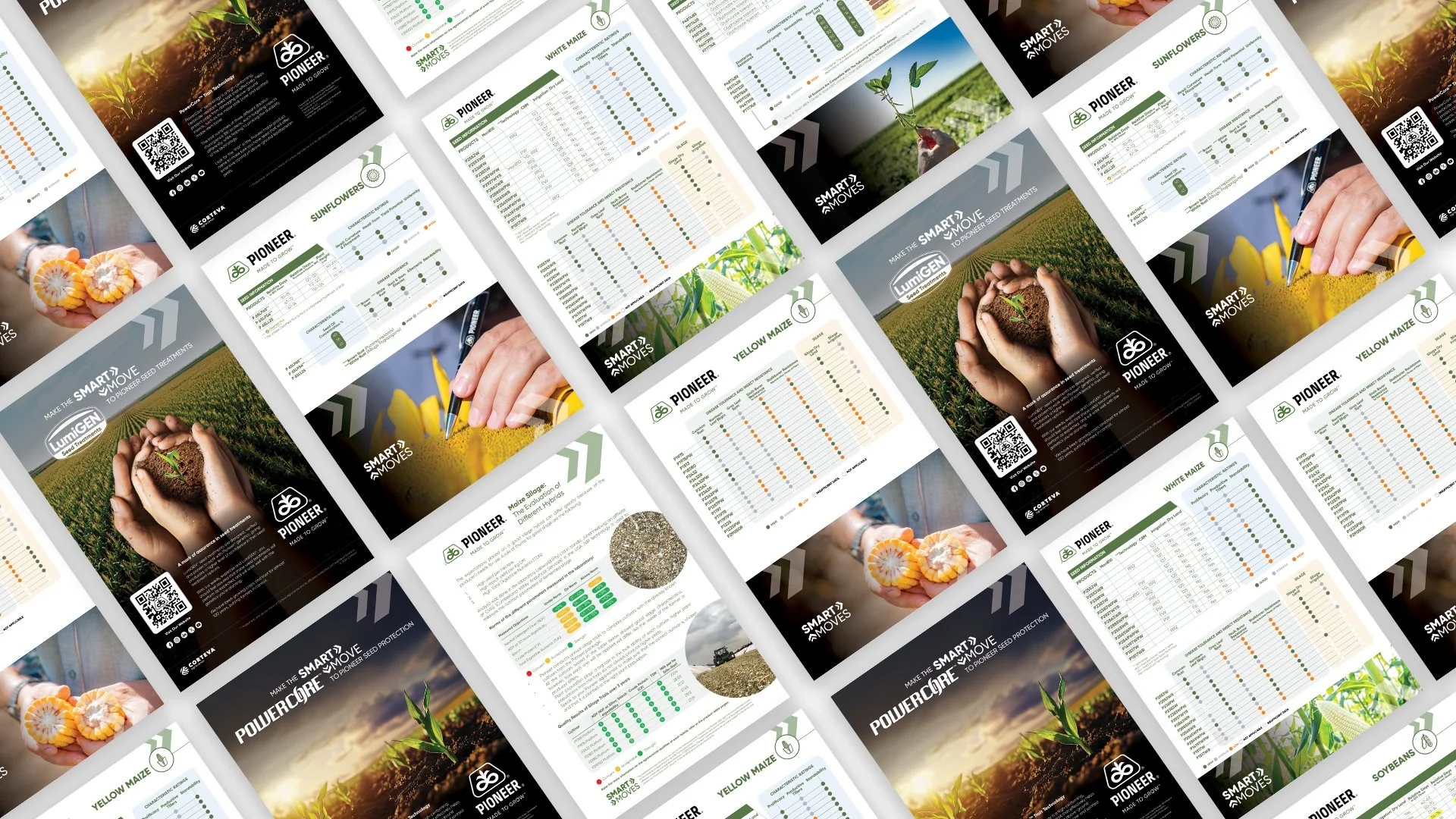 A collage of agricultural seed packaging and promotional material from Pioneer Seeds, featuring images of crops, seeds, and fields, with various charts and product information for crops like white maize, sunflowers, and yellow maize.
