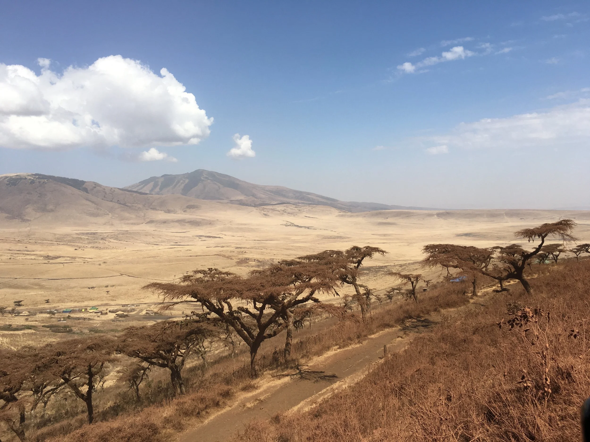 A desert landscape with scattered leafless trees, dry grass, mountains in the background, and a partly cloudy sky.