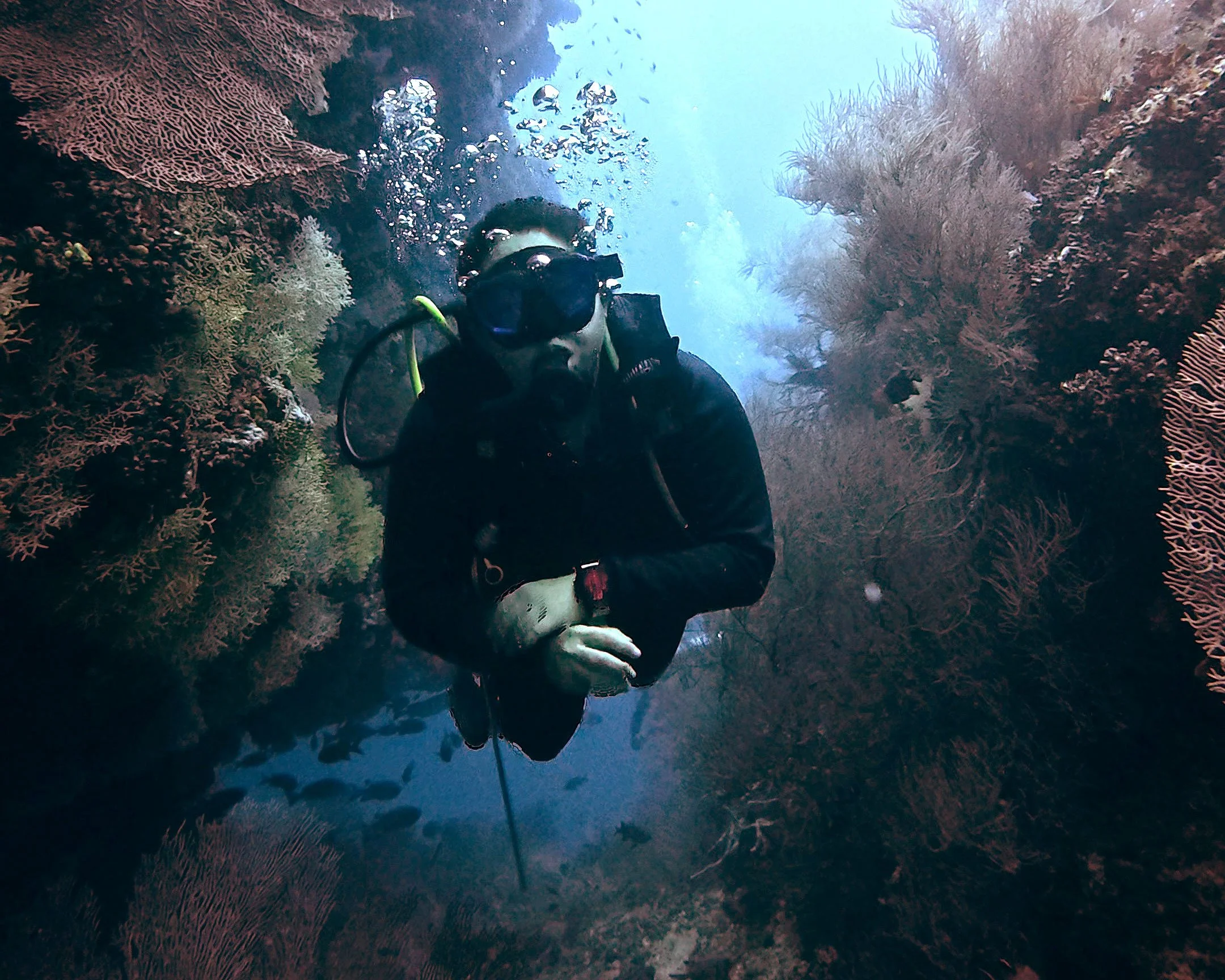 A scuba diver swimming among vibrant coral reefs underwater.