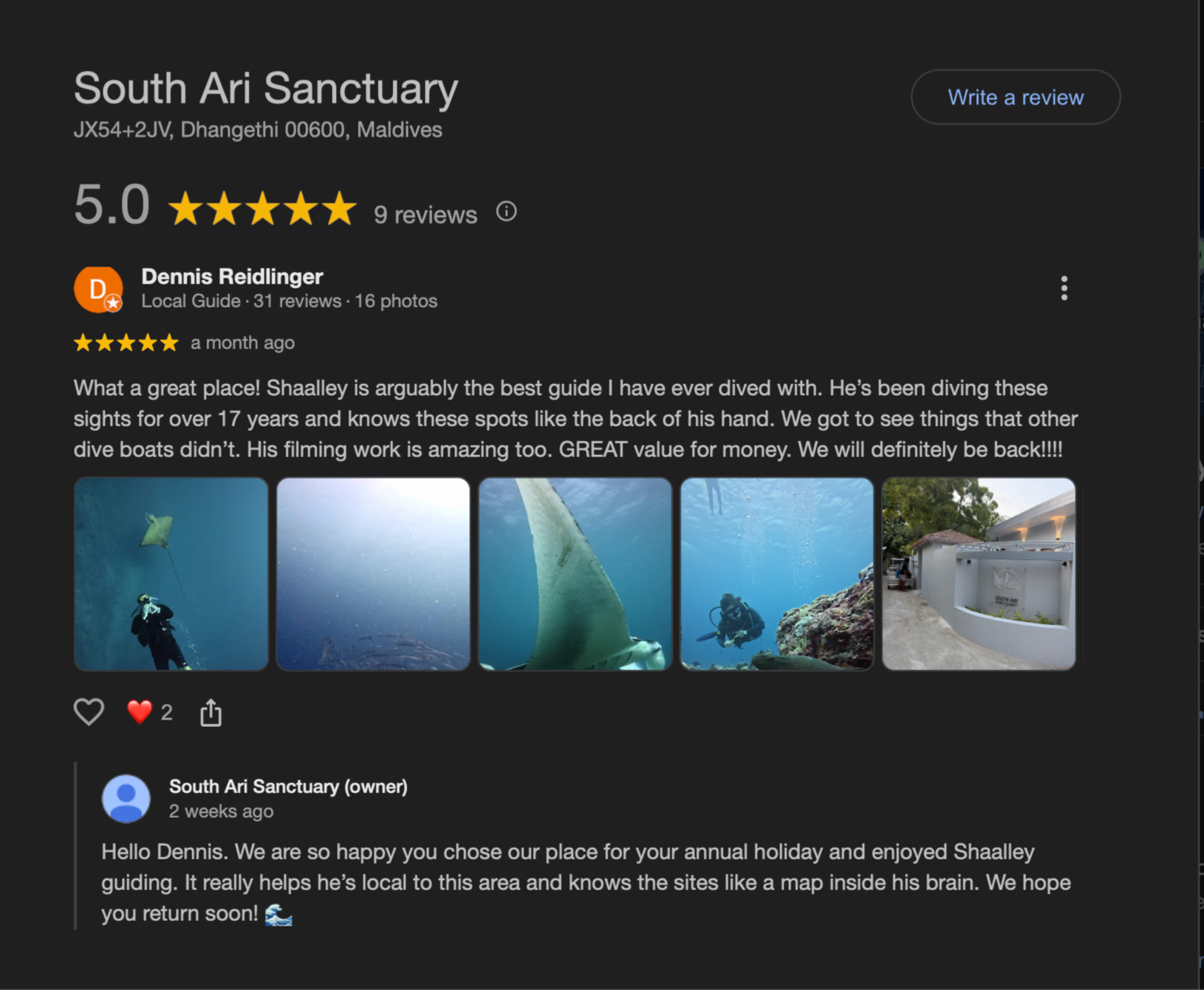 Screenshot of a Google 5-star review for South Ari Sanctuary, with photos of underwater diving and the sanctuary building.