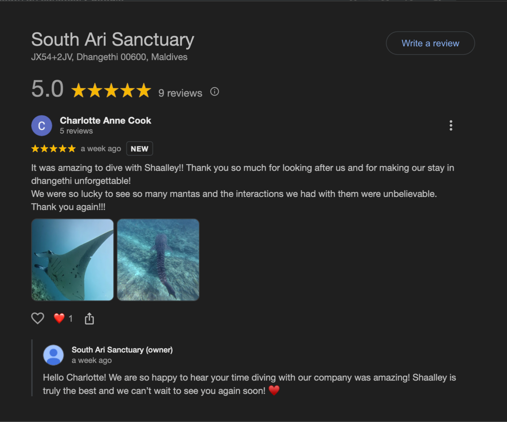 Screenshot of Google business page for South Ari Sanctuary in Maldives, showing a 5-star rating from customer review, with photos of manta rays underwater, and a reply from the sanctuary owner.