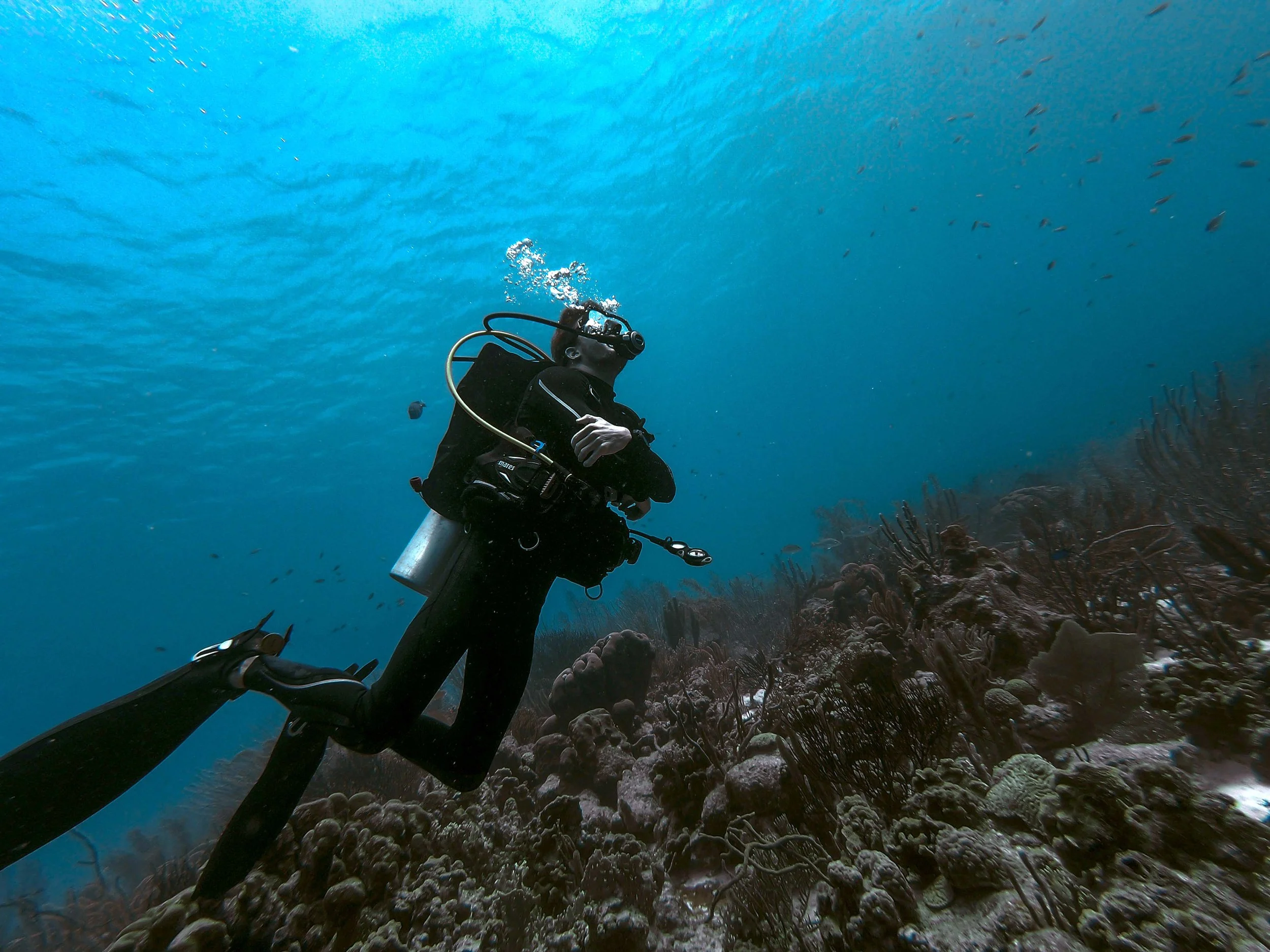 A scuba diver swimming above a coral reef underwater.