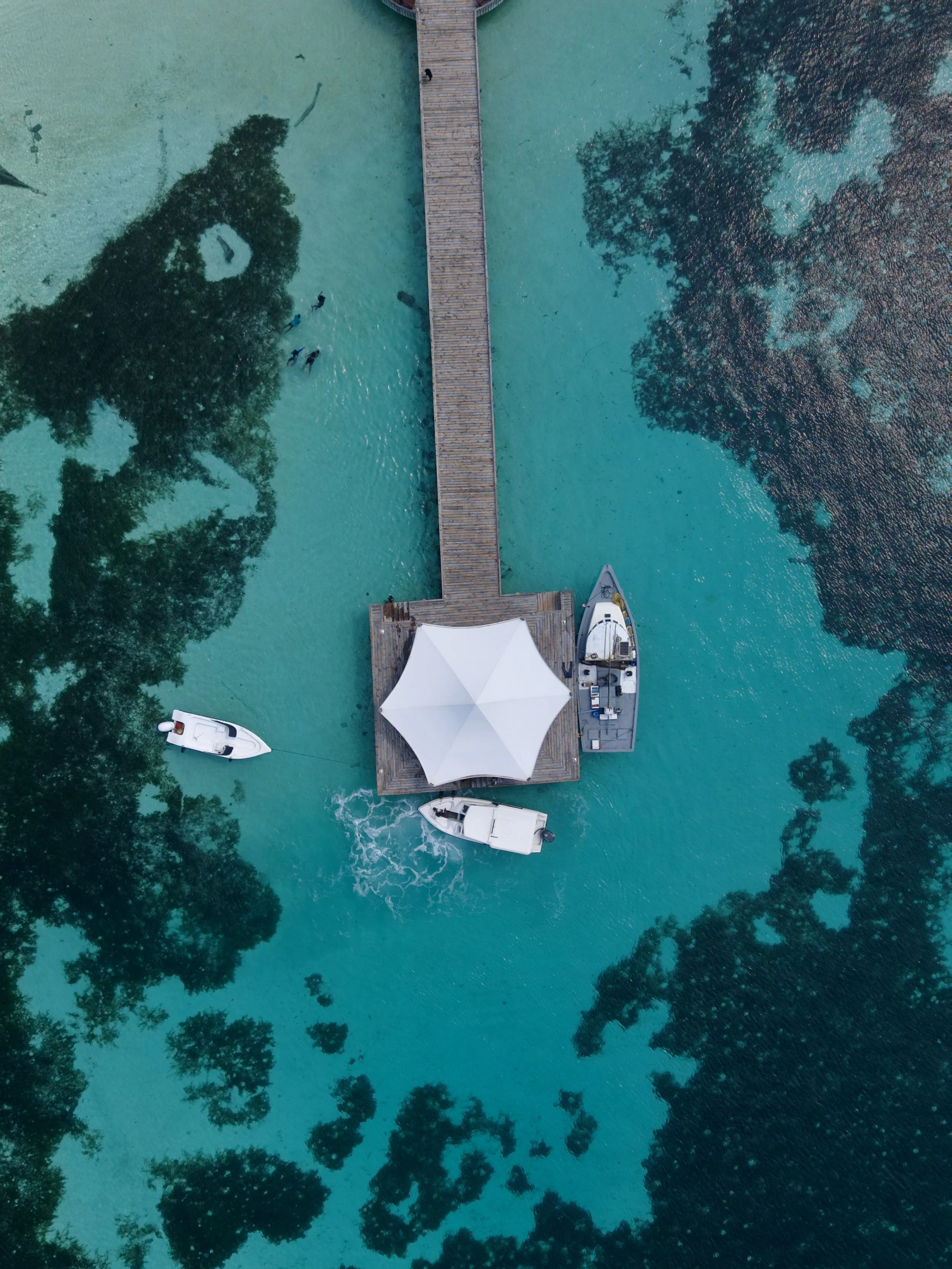 An aerial view of a dock with two boats tied up, a shaded canopy, and a small group of people swimming in clear turquoise water surrounded by trees.