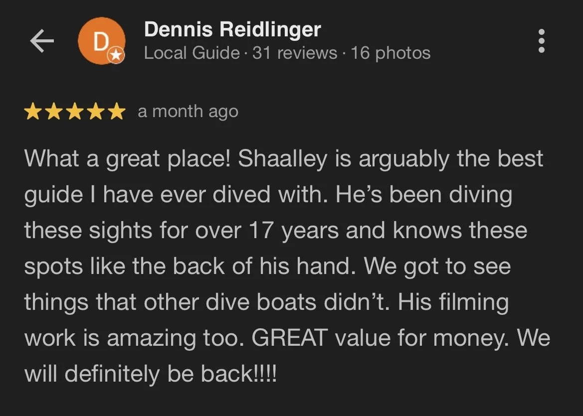 Screenshot of a Google Maps review for a dive guide named Shaalley, praising his expertise and filming work, from a user named Dennis Reidlinger.