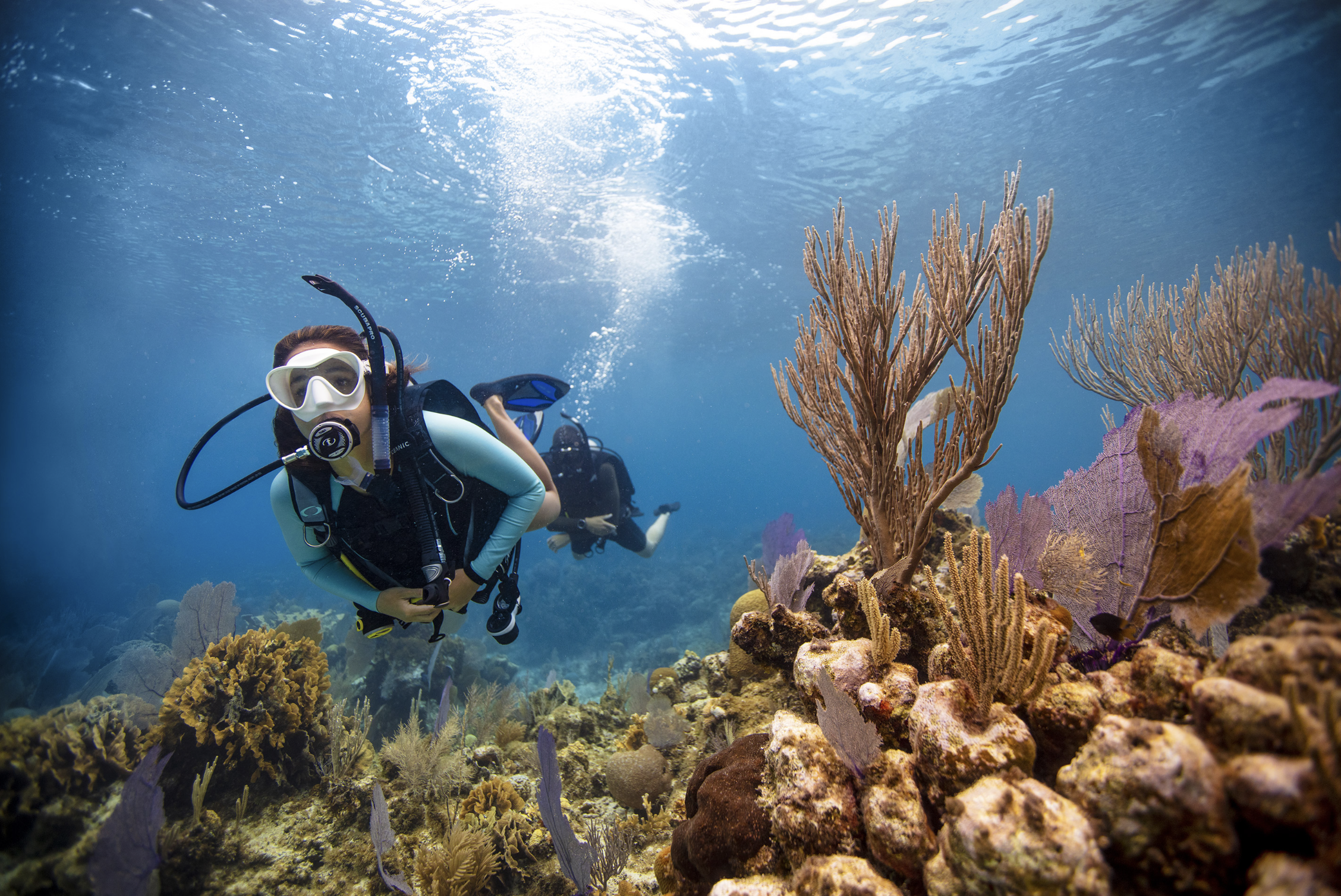 Two scuba divers swimming above a colorful coral reef with various types of coral and marine life.