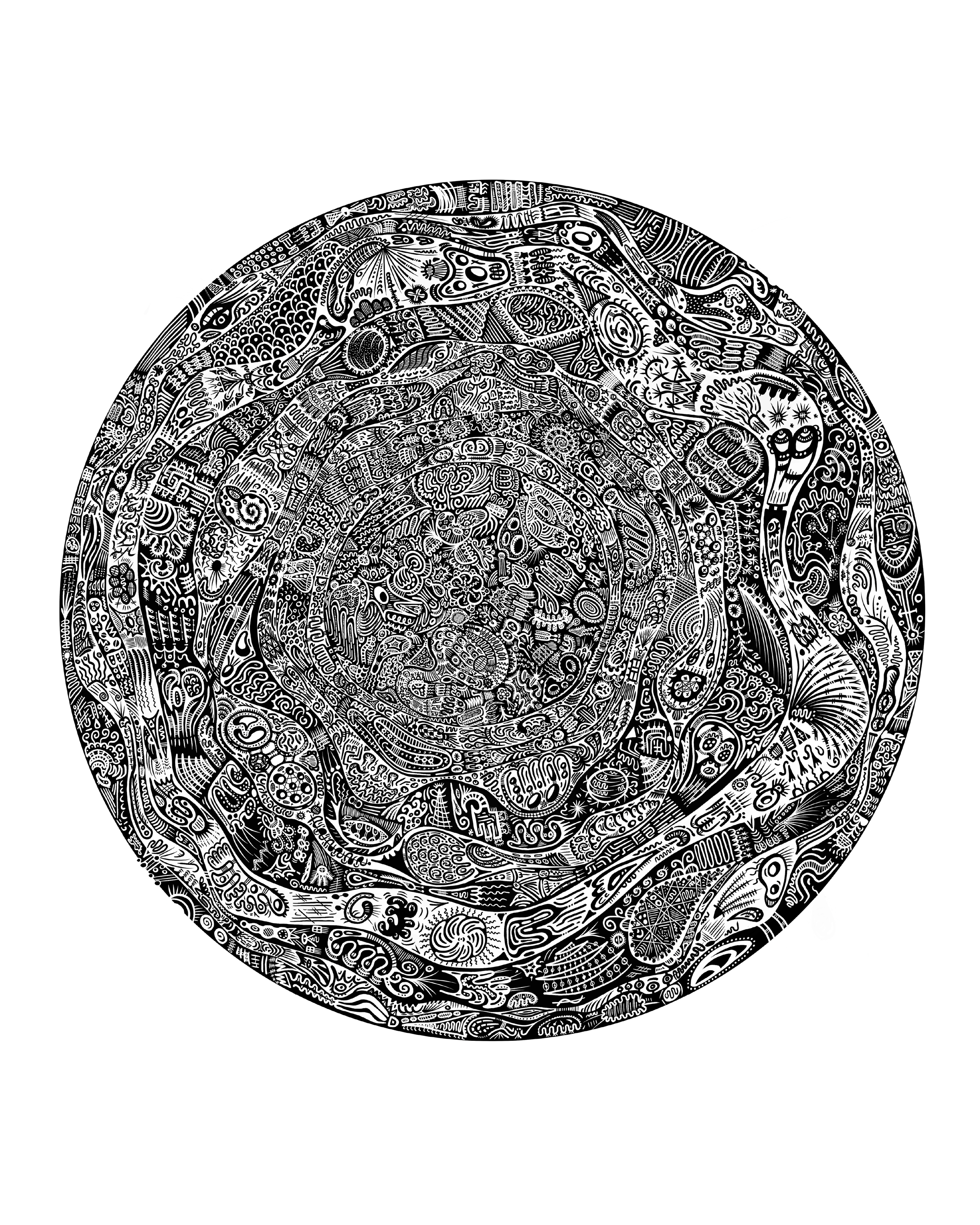 CELLULA_1.png