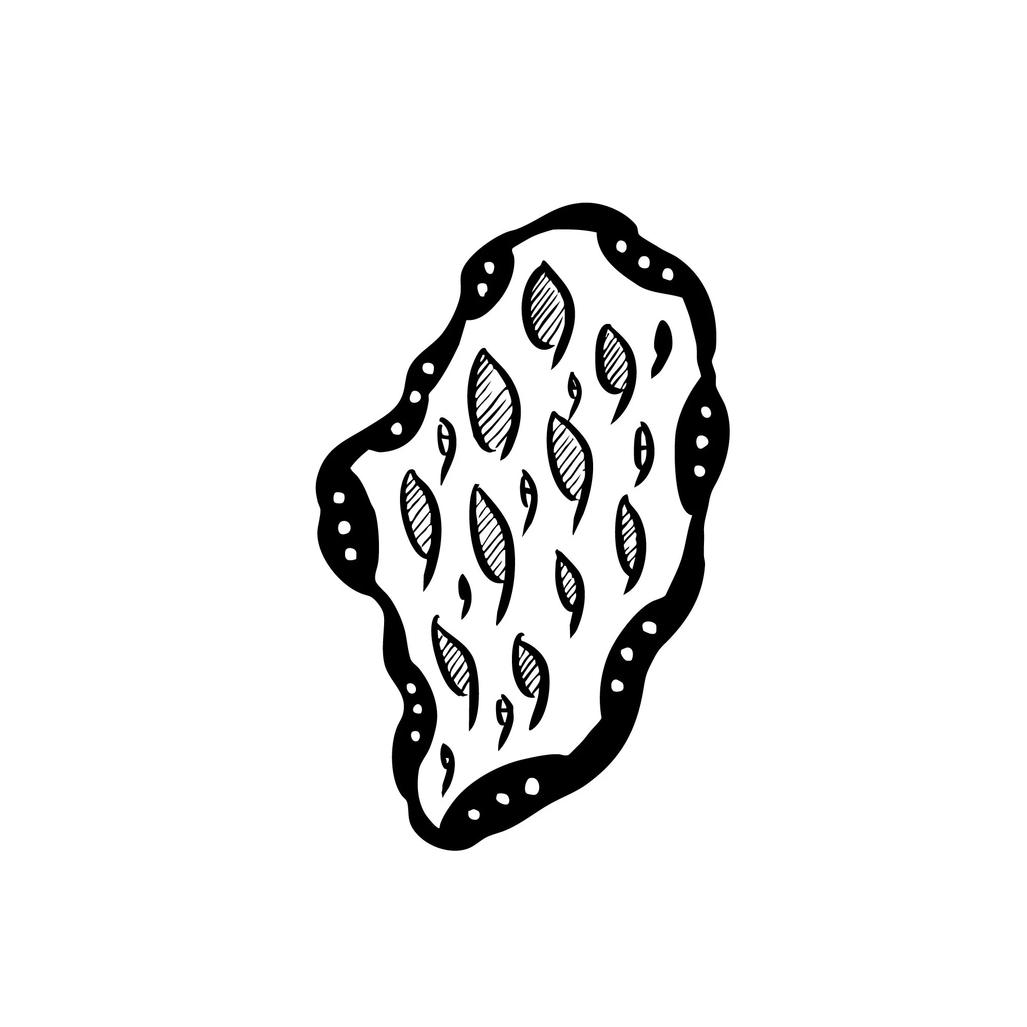 10_PAGONDO_LUNAE.jpg