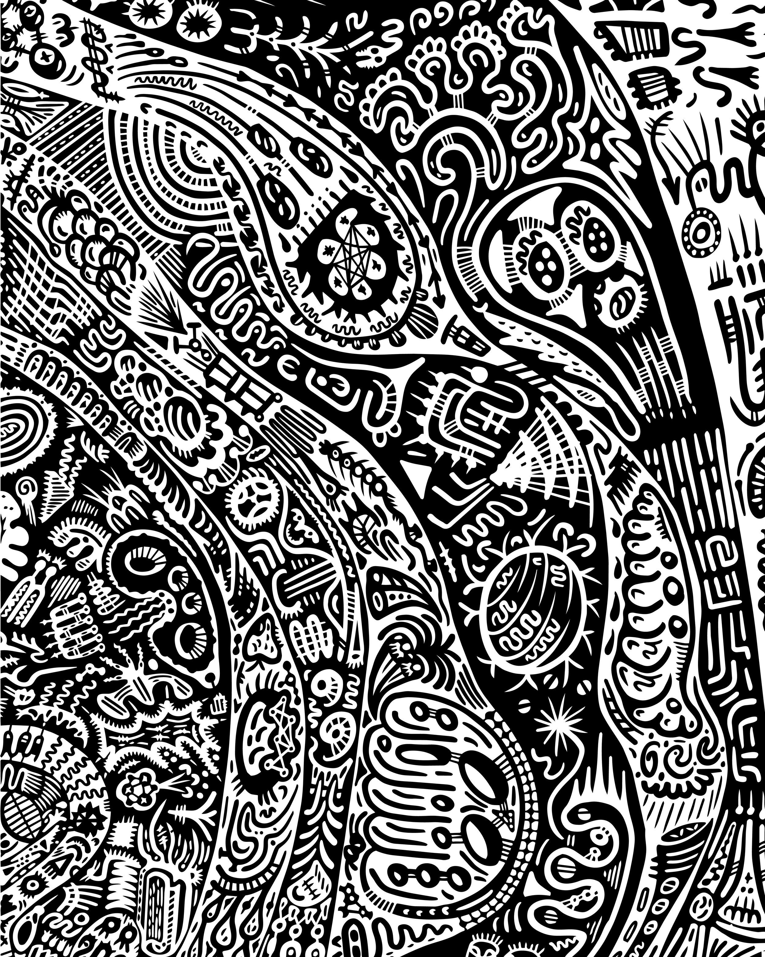 CELLULA_2.png