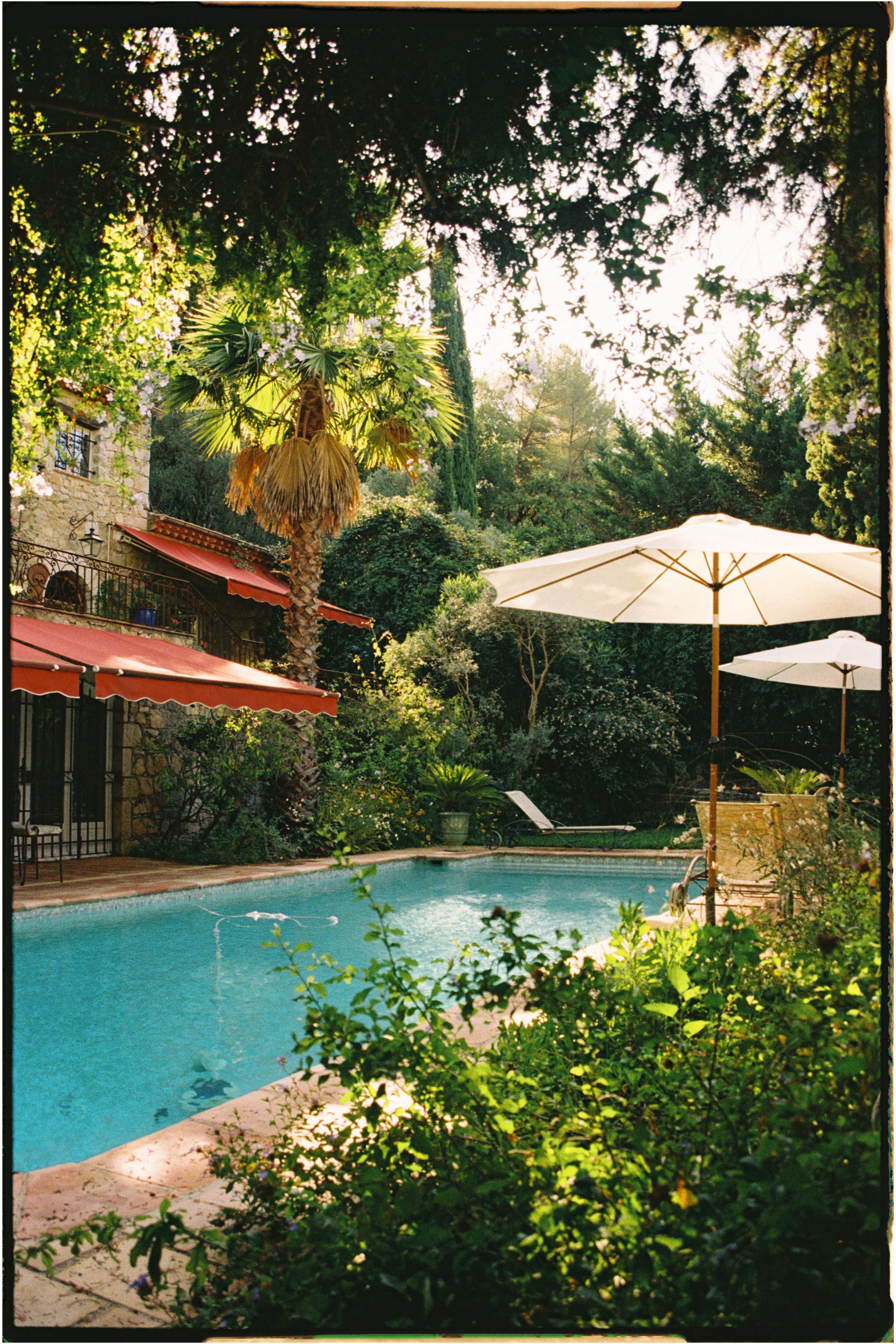 A chateau backyard with a swimming pool, surrounded by lush greenery, palm trees, and shrubs, with sunlight filtering through the trees. Photographed by Emily Gould, Edinburgh based photographer working across both film and digital formats.