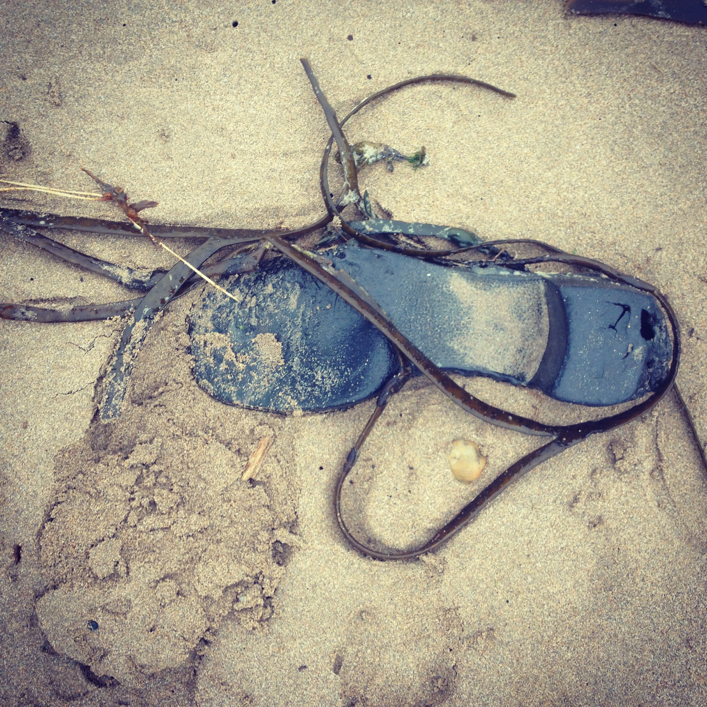 Open the mind to the world