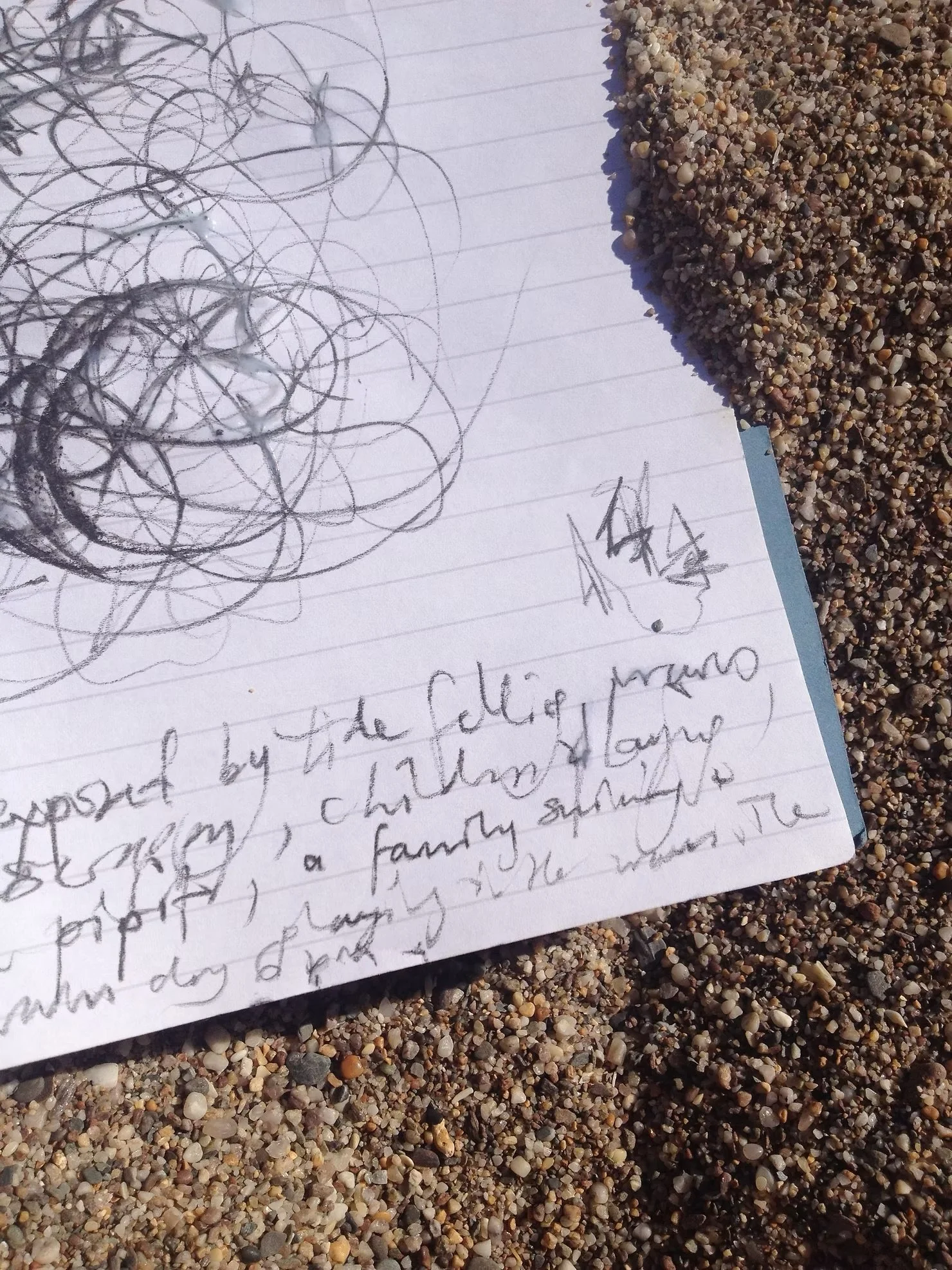 how to catch the bird flying upside down in you