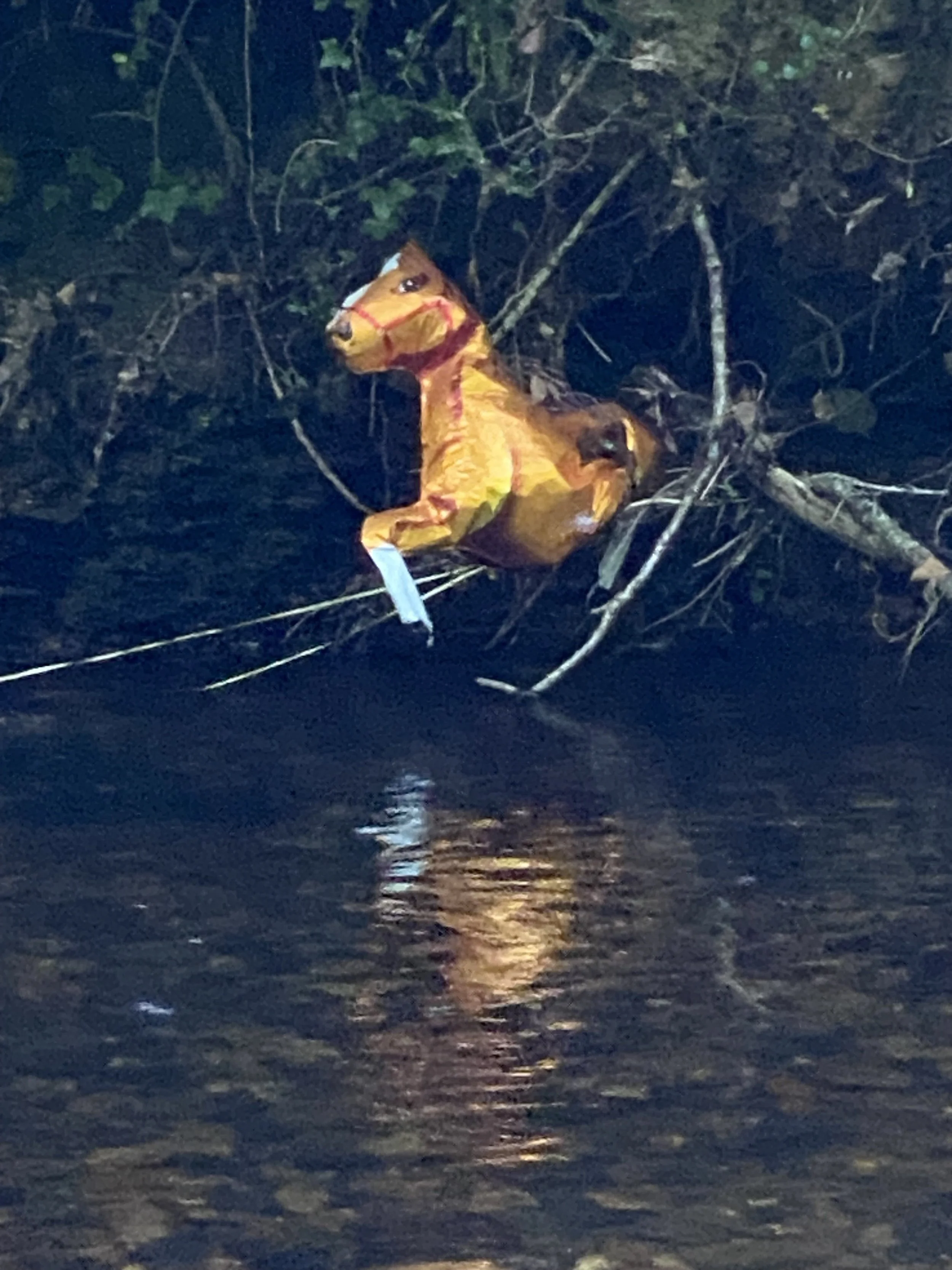 enter at your own risk