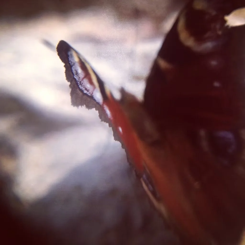 How to test the quality of precious