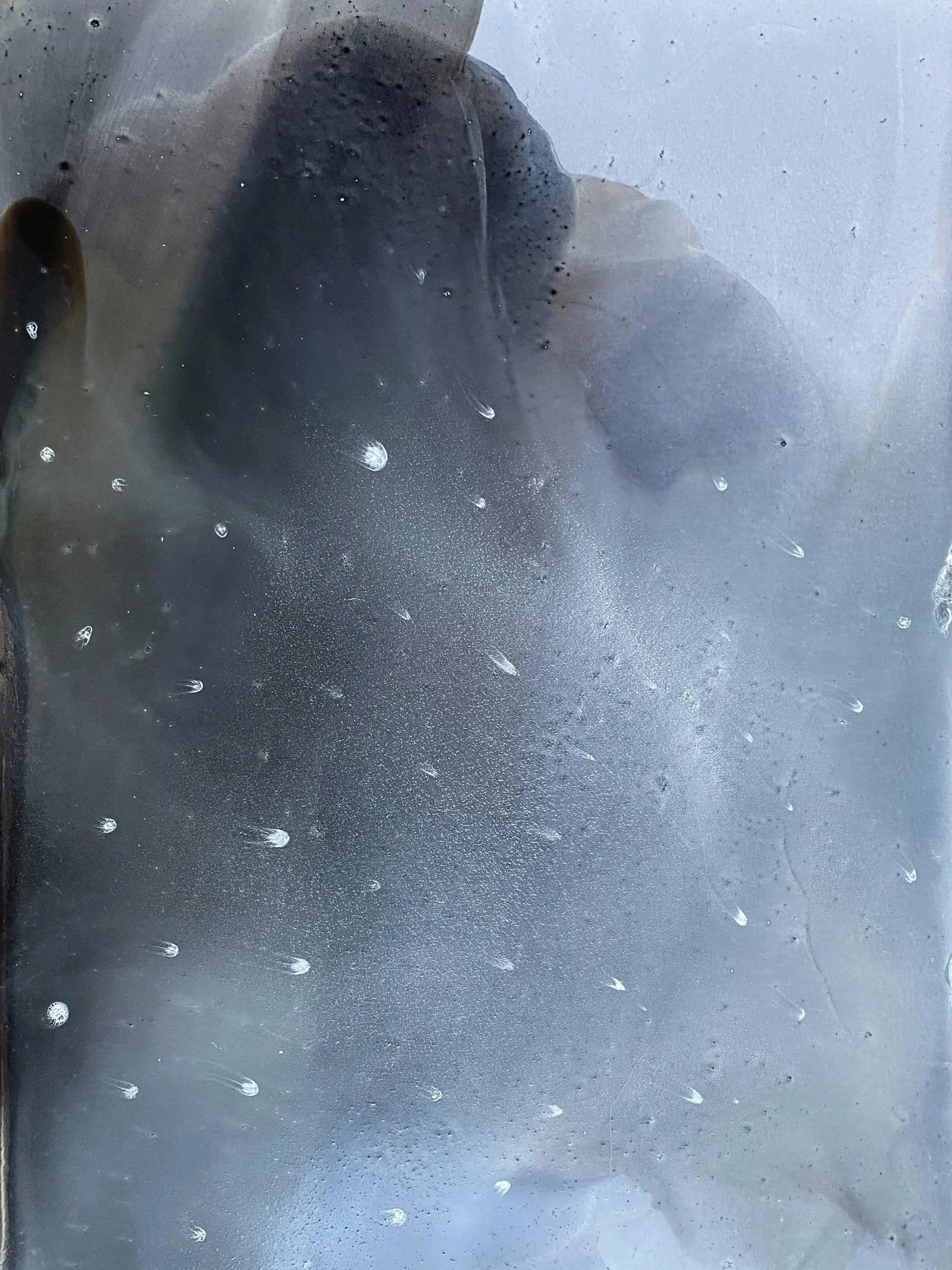 Ocean Galaxy. Oil on paper. 2025. Susie David