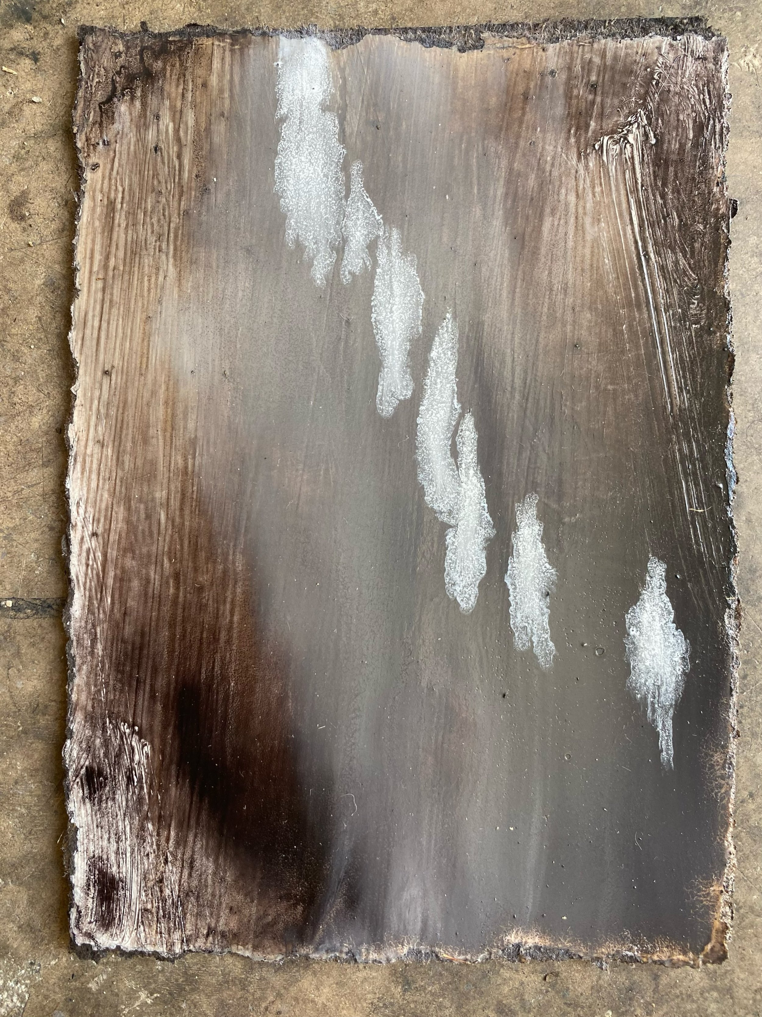 Small oil on panel. &hellip;&hellip;&hellip;&hellip;..I love that feeling in the sea&hellip;&hellip;.. when you are deep enough &hellip;&hellip;. so deep you move into this other medium - water&hellip;.. and you can simply &hellip;.. take your feet o