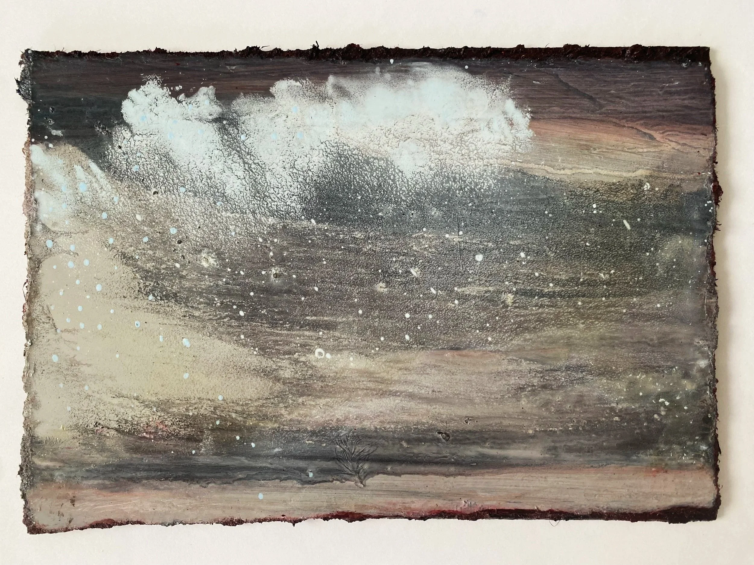 'Snow Fall'
oil on panel
2026
148x210mm
Susie David