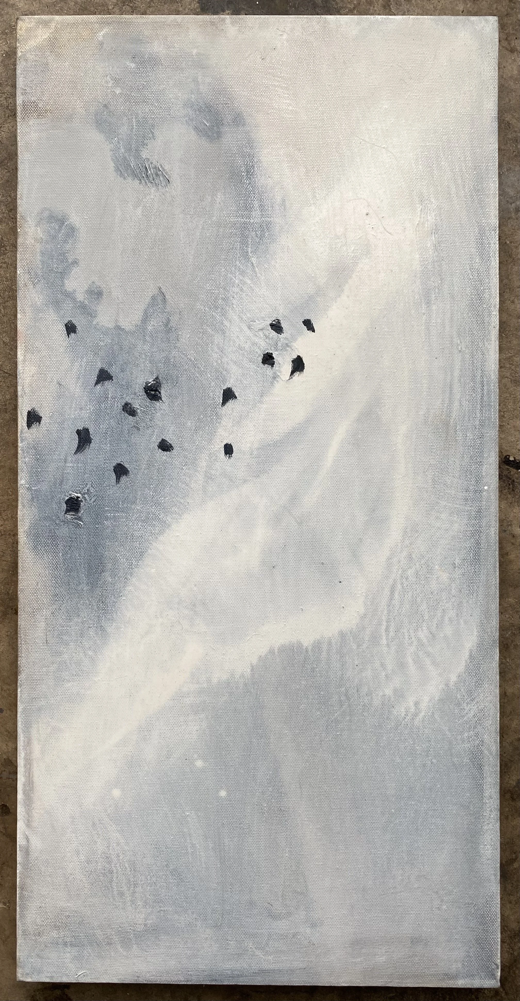 Crows on a vortex 60x30cms oil on deep edged canvas. susie david