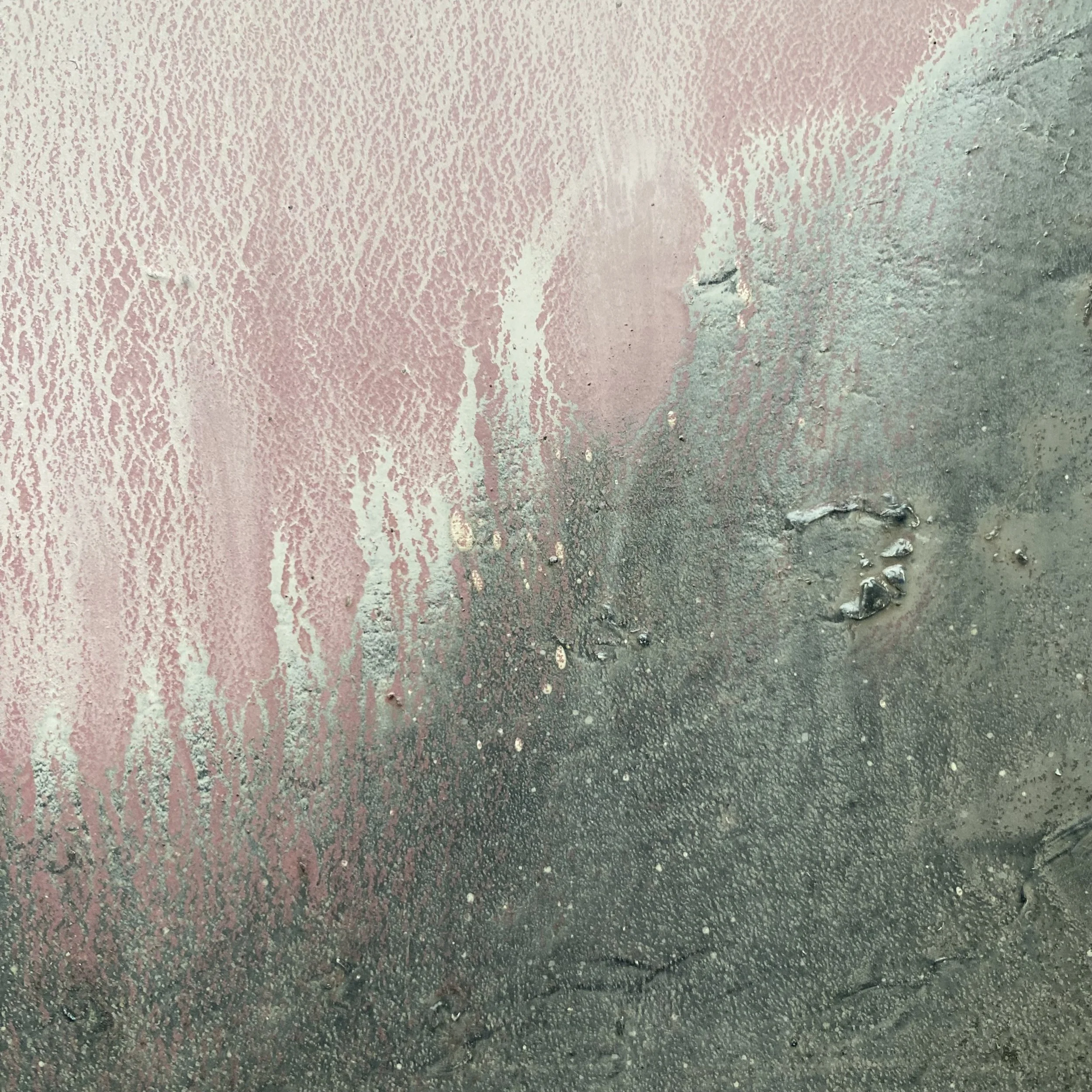 small pink cloud poised. oil on panel. 2025. susie david - detail