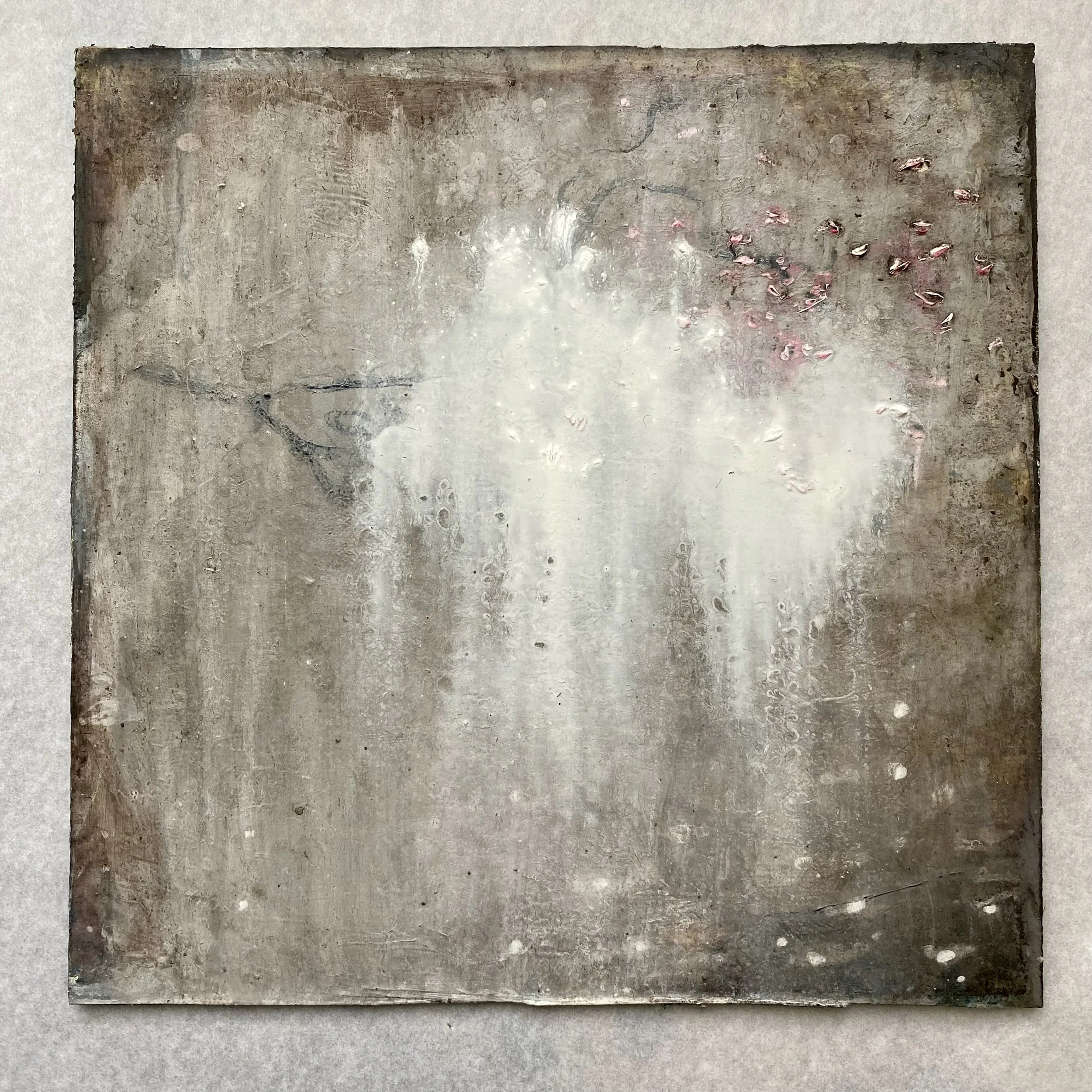 cloud snagged by cherry blossom branch. oil on panel. 2025 susie david. 