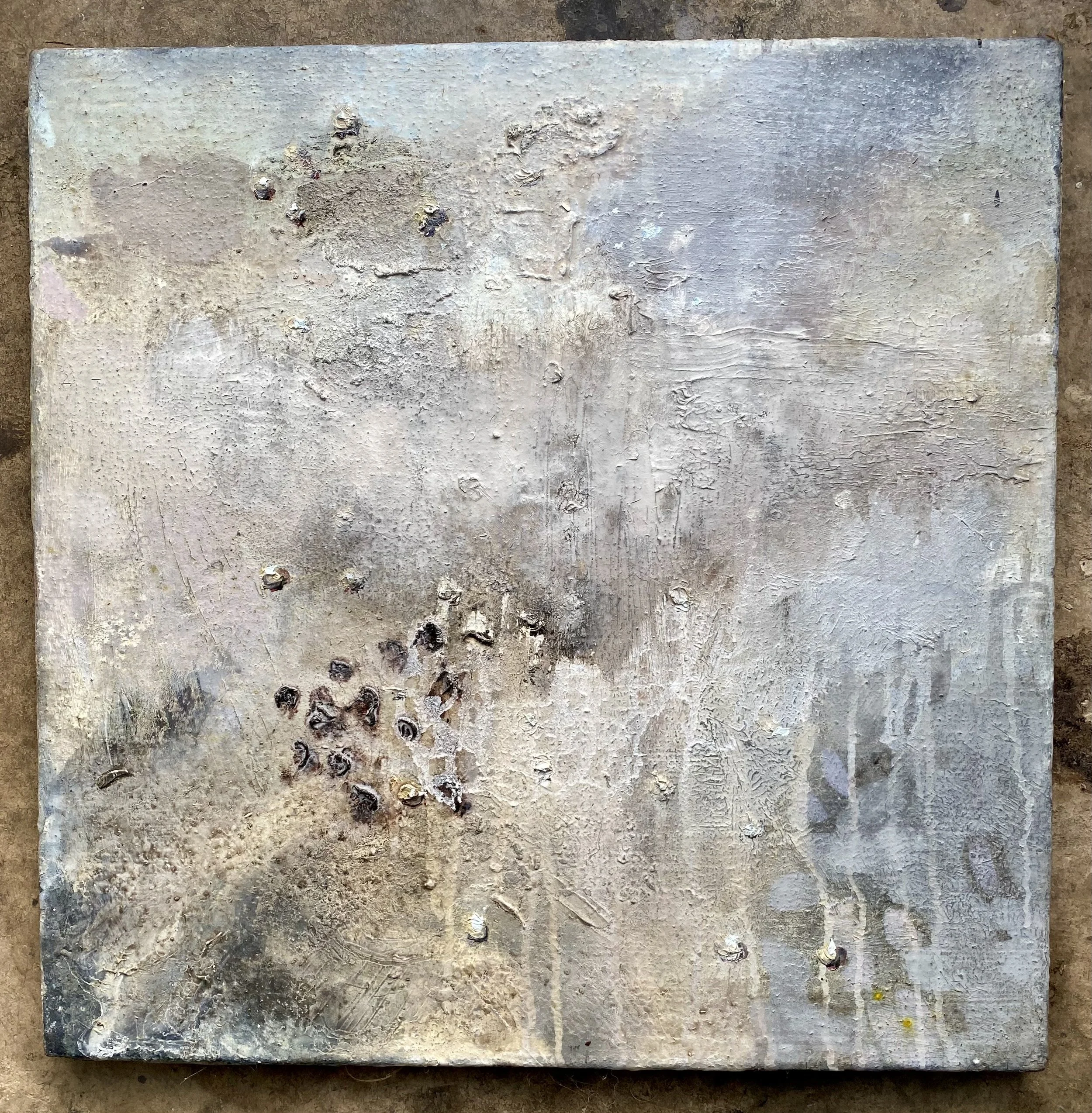 rain on fallen apples. 40x40 Oil on linen. 2026 susie david