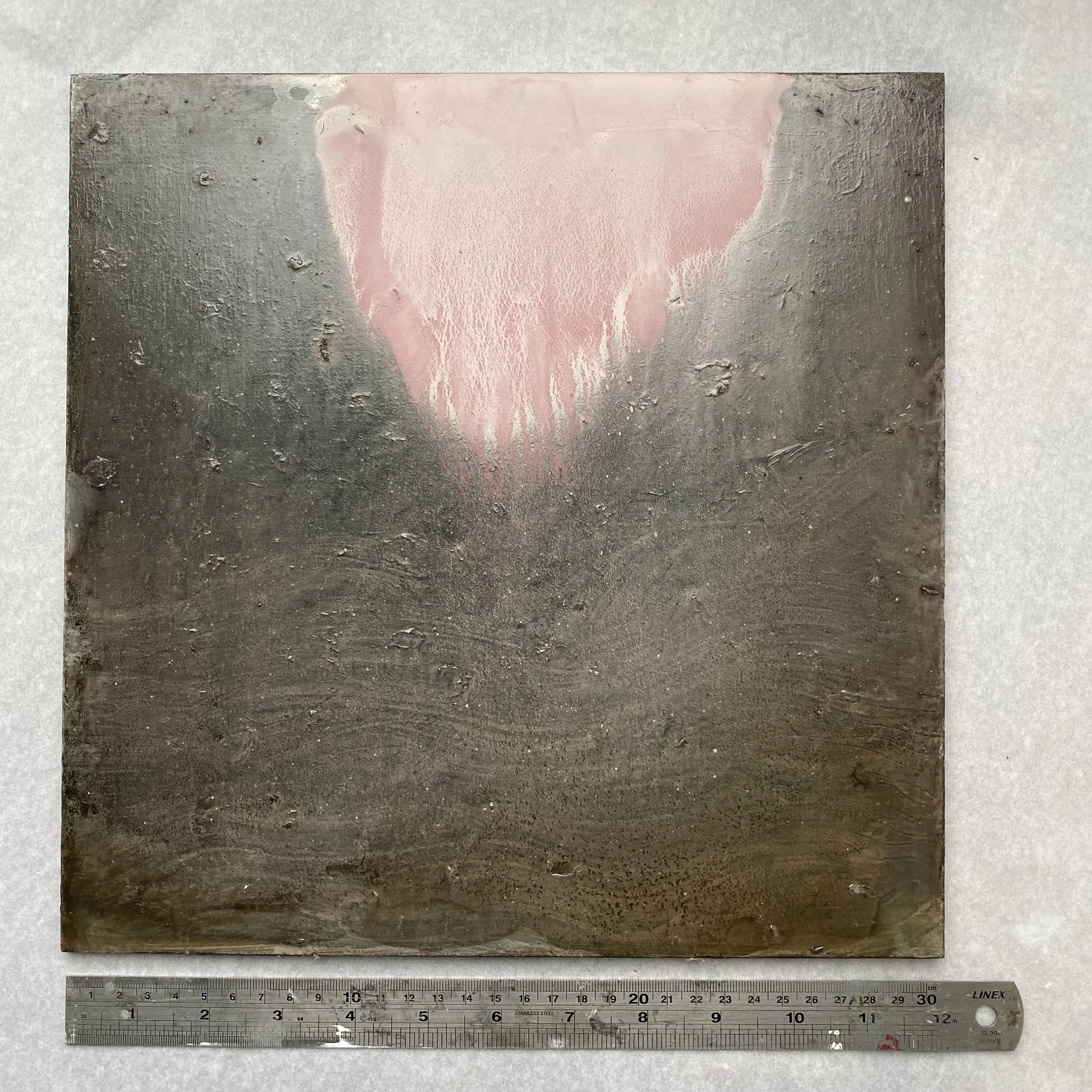 small pink cloud poised. oil on panel. 2025. susie david - size