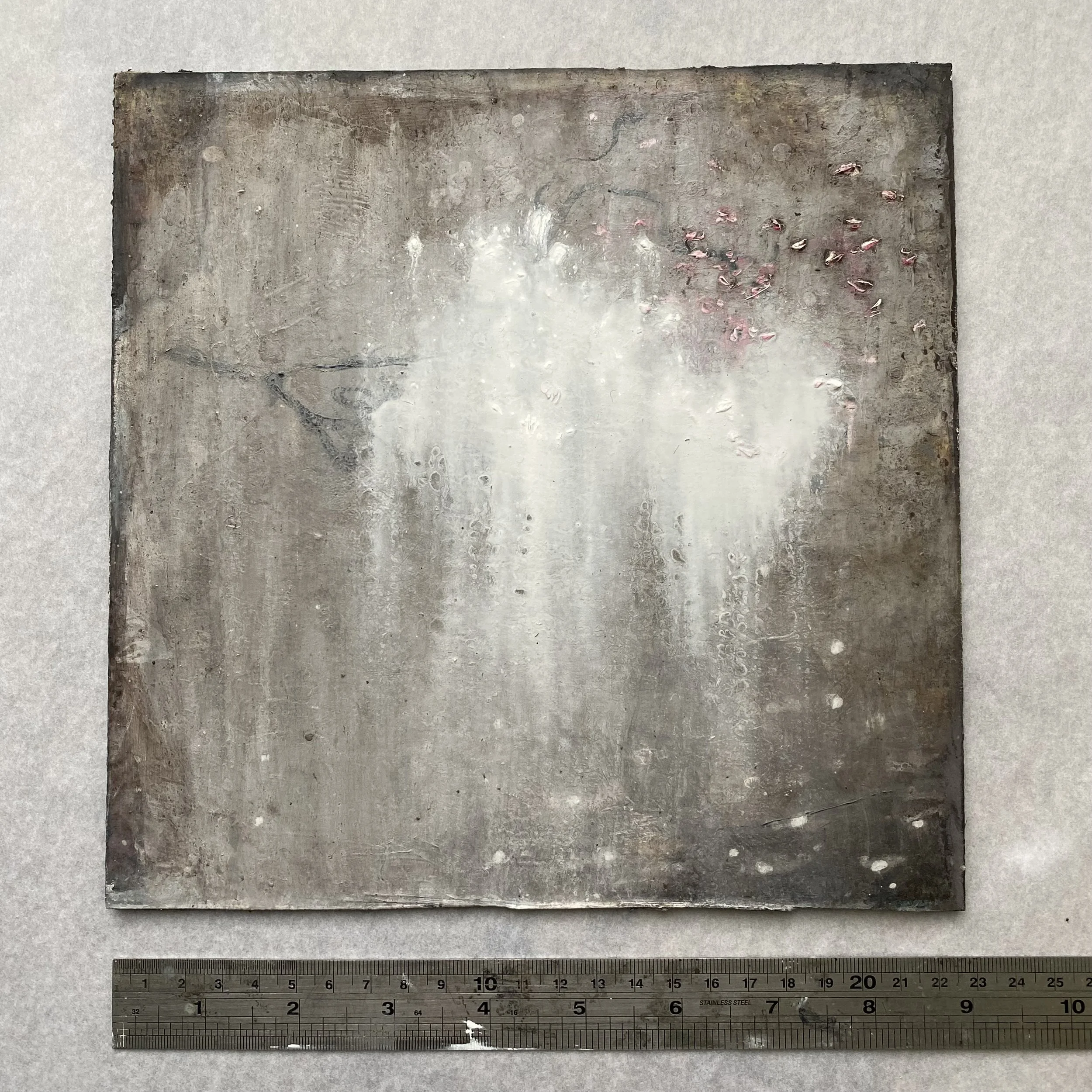 cloud snagged by cherry blossom branch. oil on panel. 2025 susie david. 