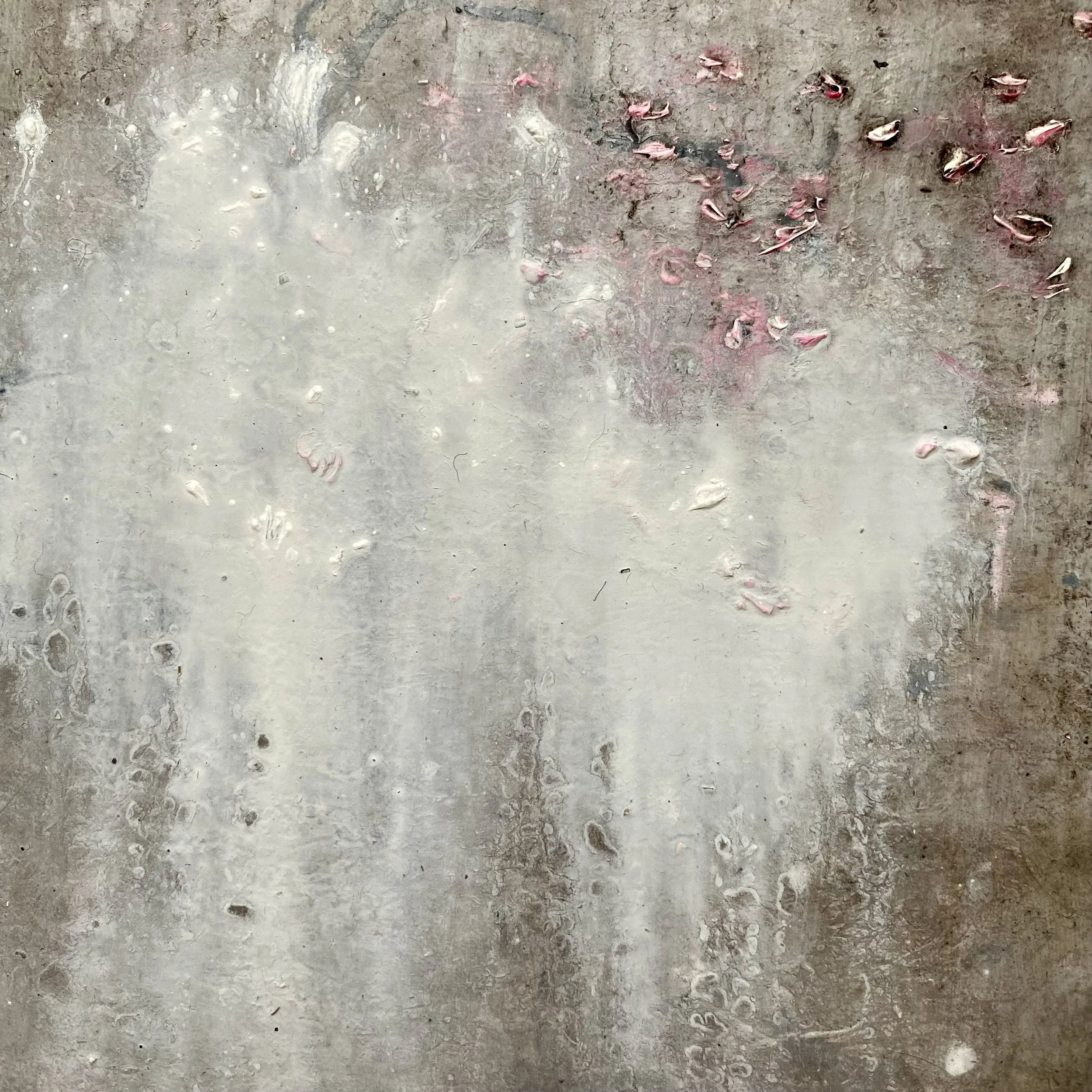 cloud snagged by cherry blossom branch. oil on panel. 2025 susie david - detail